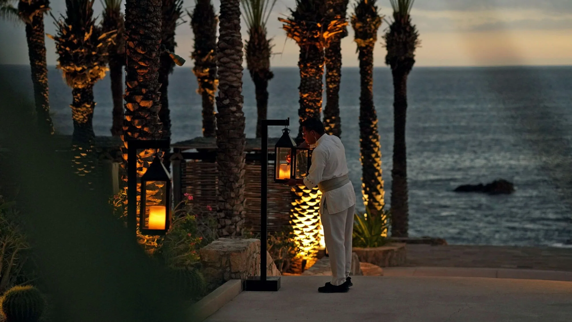 003-Palms-at-Dusk.jpg