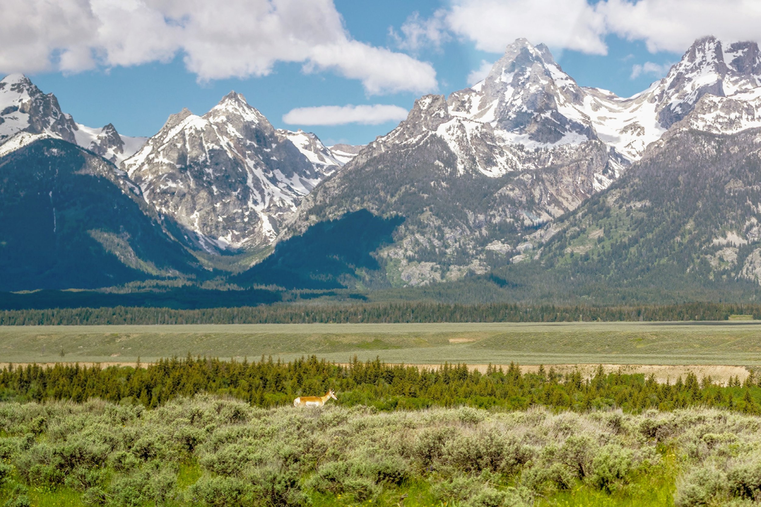 022-Teton-Landscape.jpg