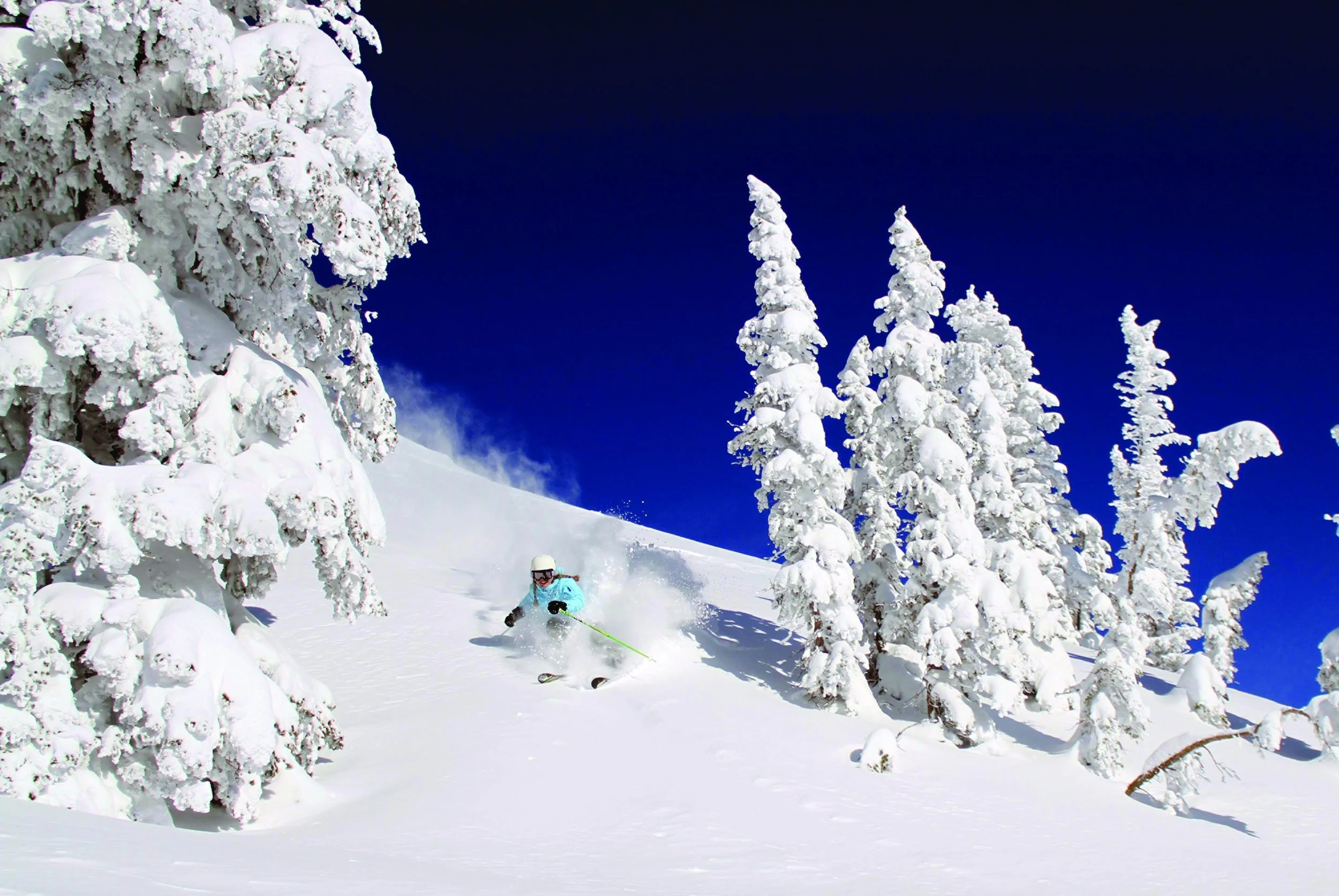 135-Winter-Skiing.jpg