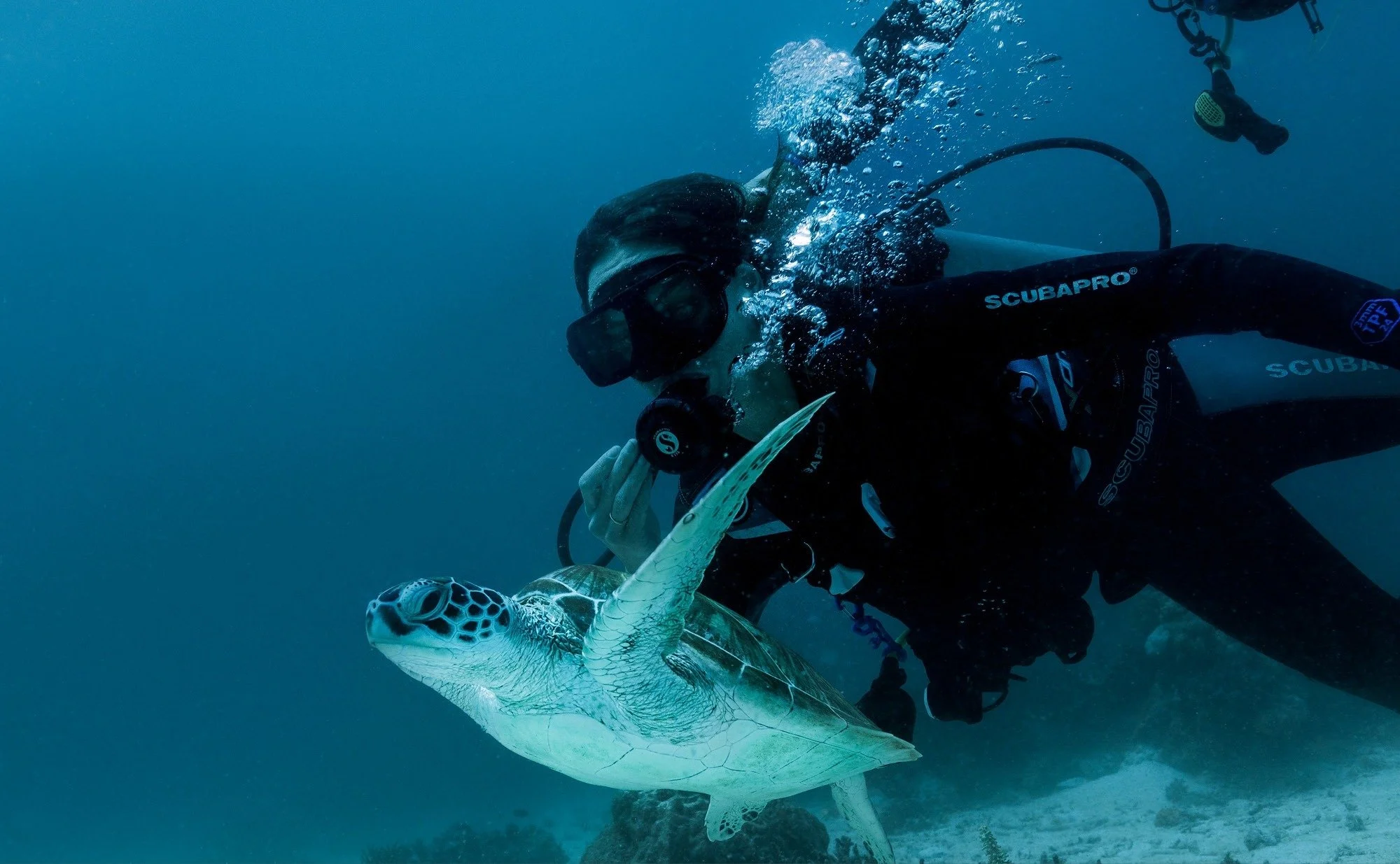 129-Scuba-Diving.jpg