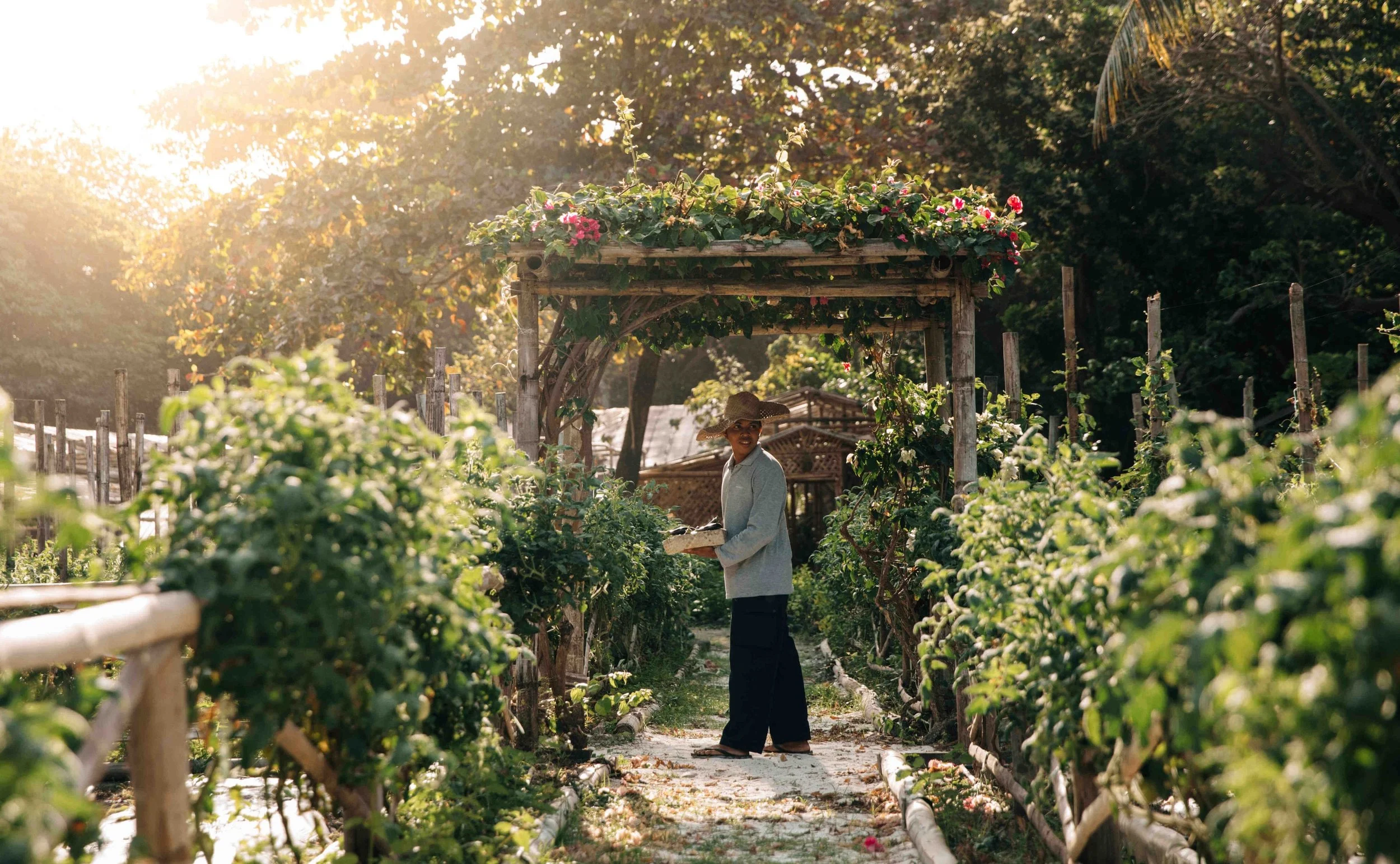 137-Organic-Garden.jpg