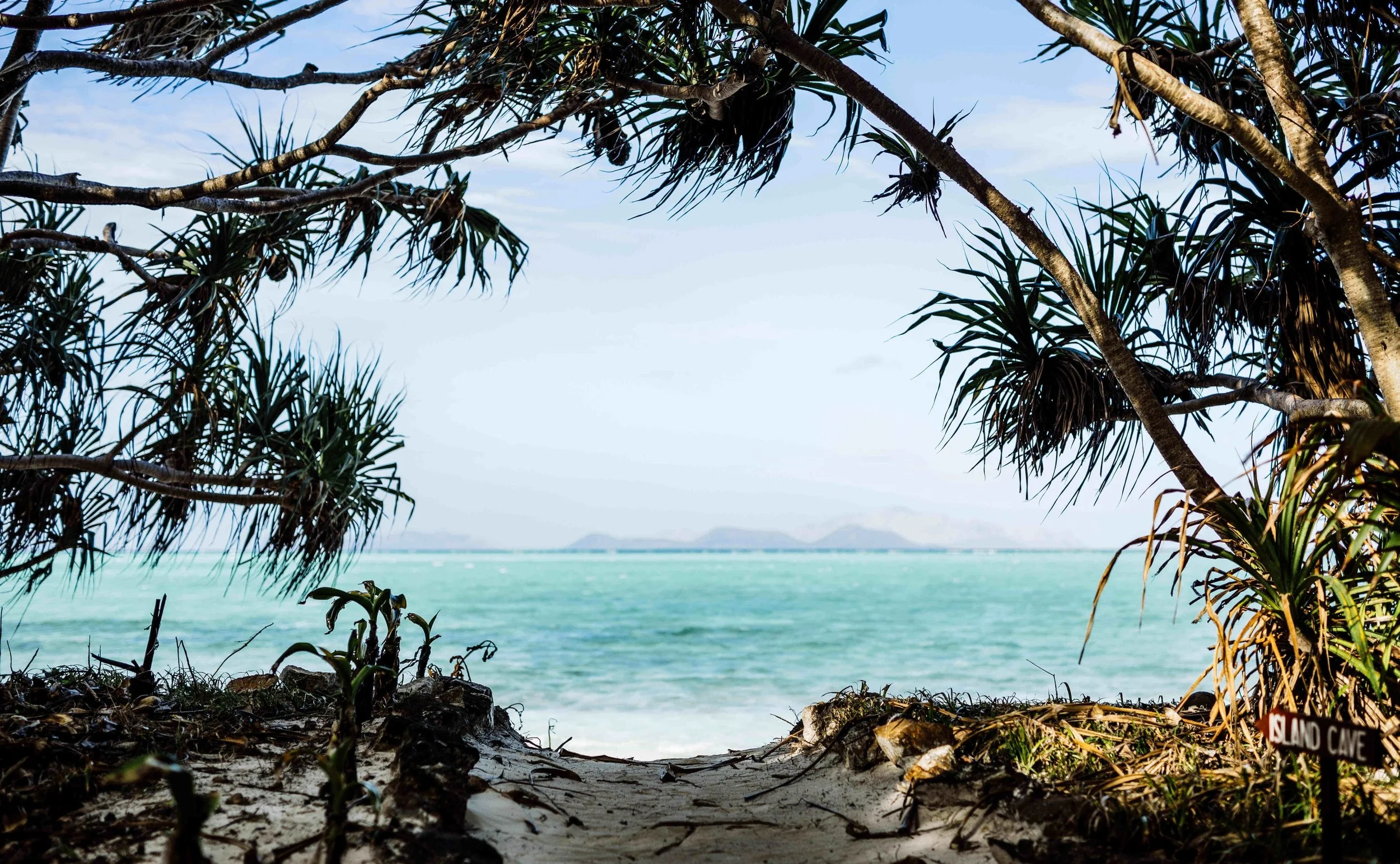138-Shoreline-and-Trees.jpg
