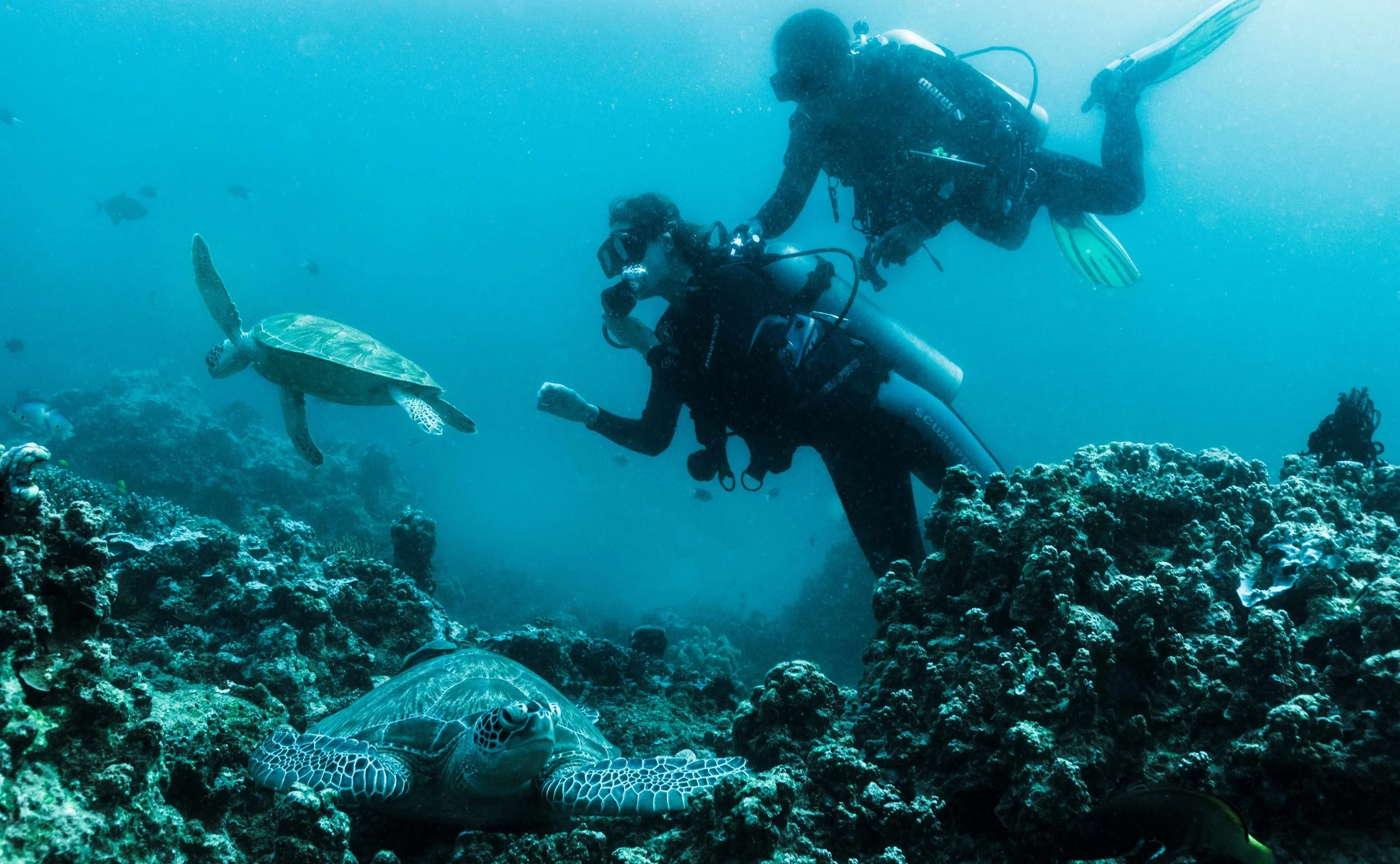 139-Reef-Divers.jpg