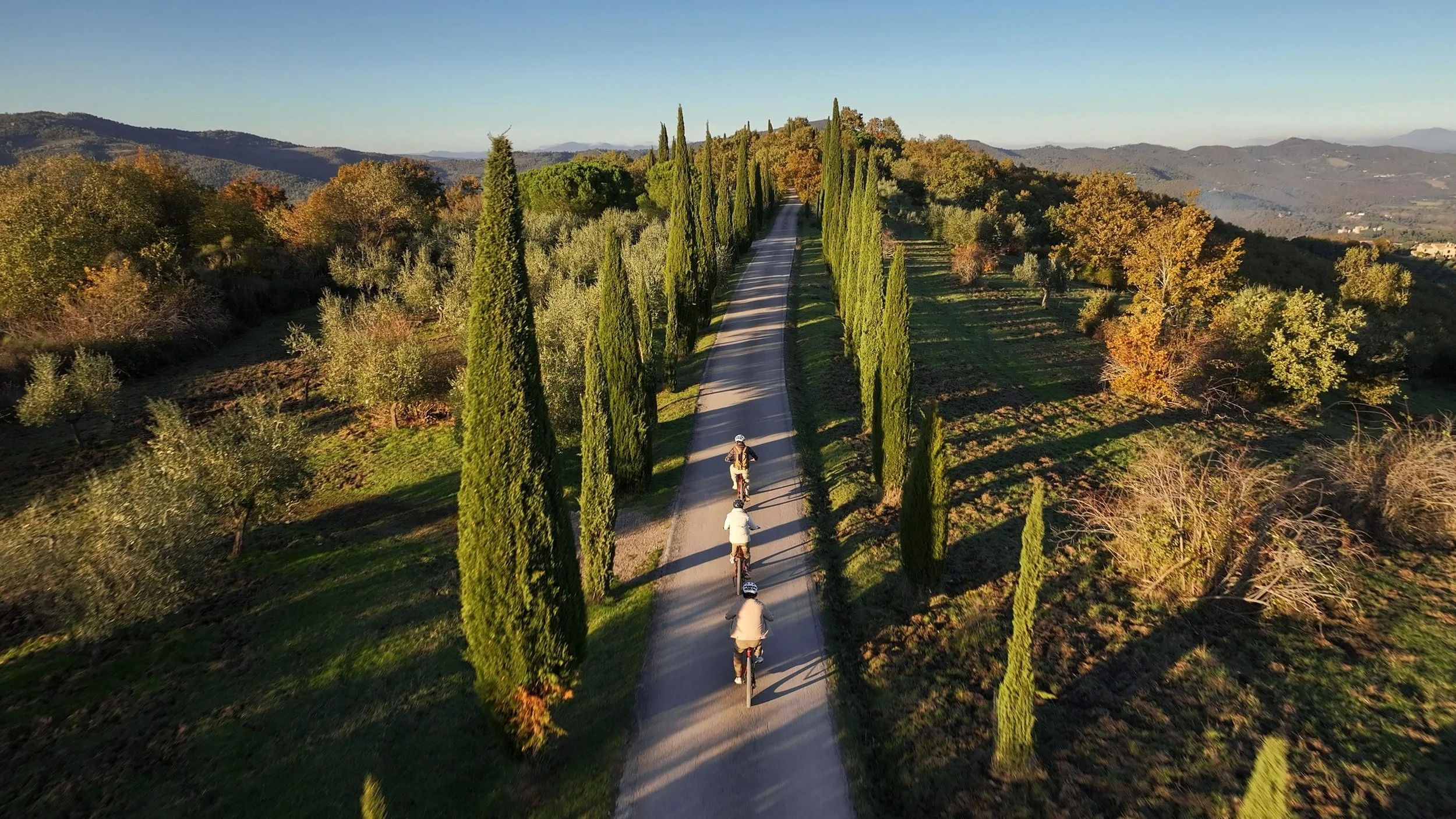 043-Autumn-Cypress-Lined-Lane.jpg