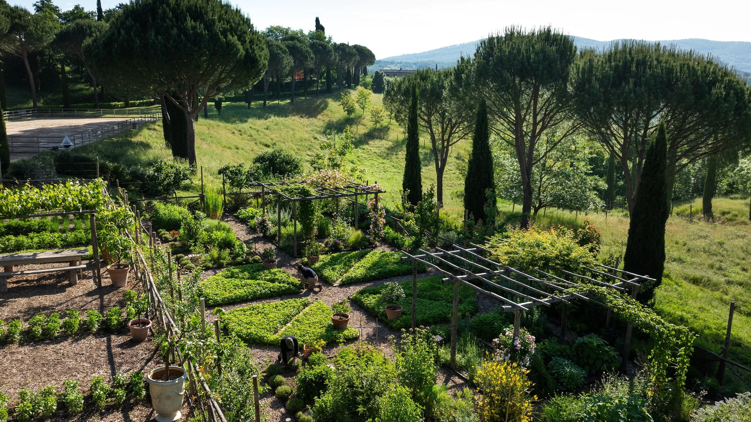 079-Kitchen-Garden.jpg