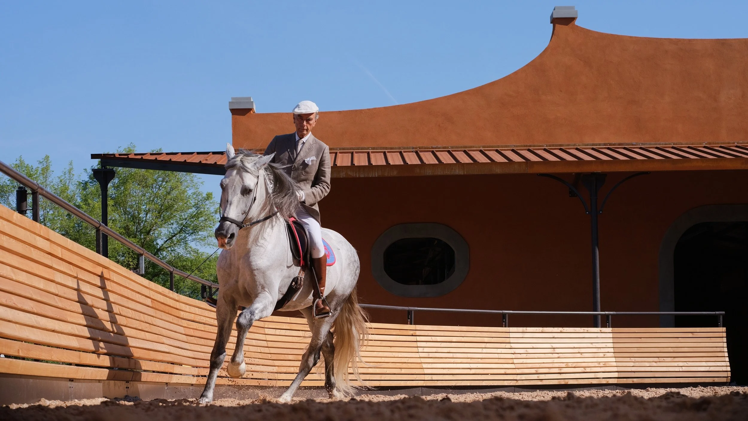 167-Spanish-Horse-at-Teatro-Equestre.jpg