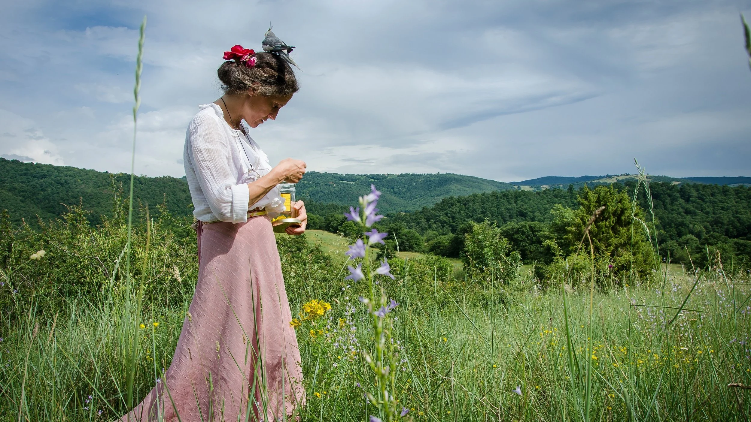 188-Spring-Meadow.jpg