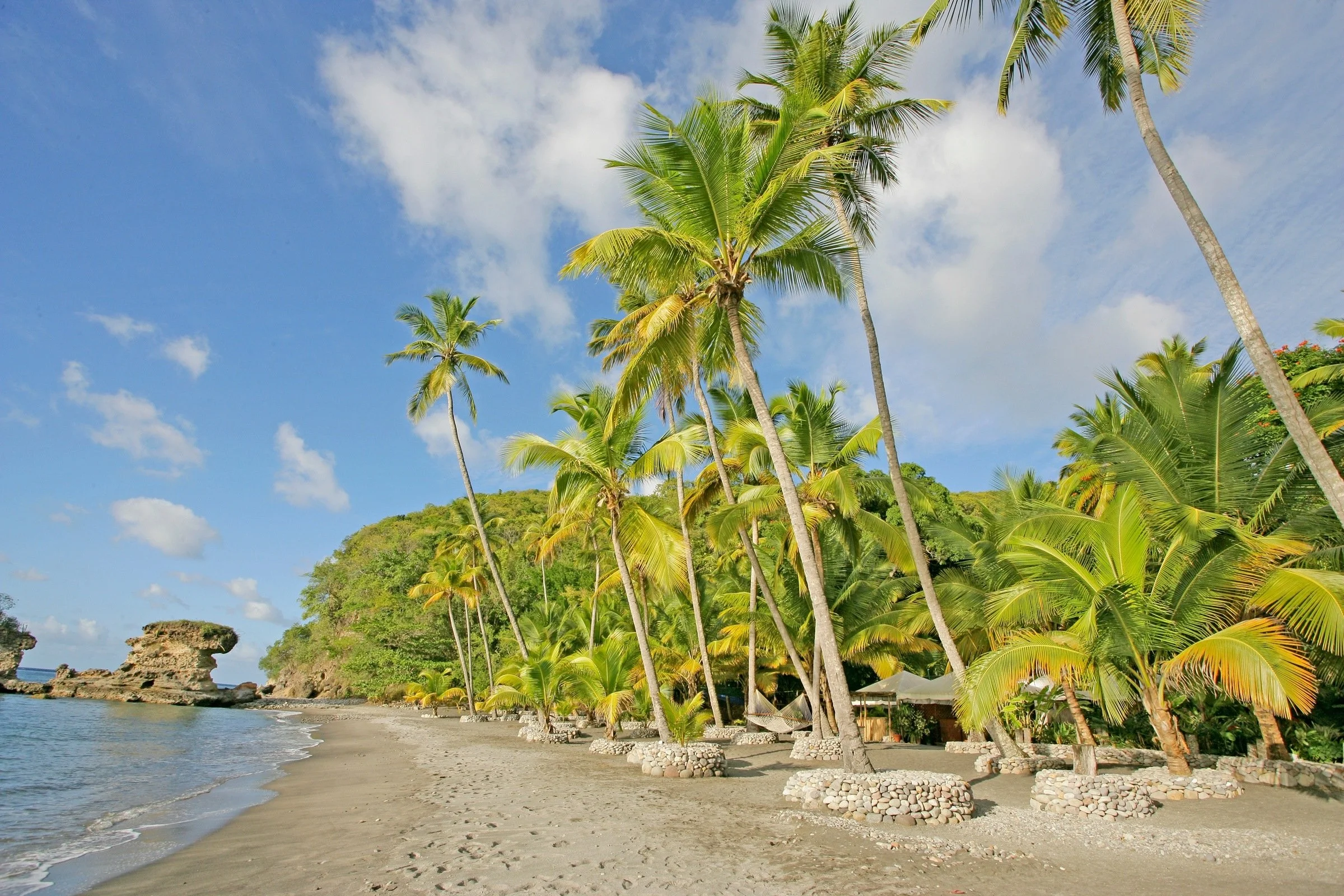 090-Anse-Chastanet-Beach-and-Palms.jpg