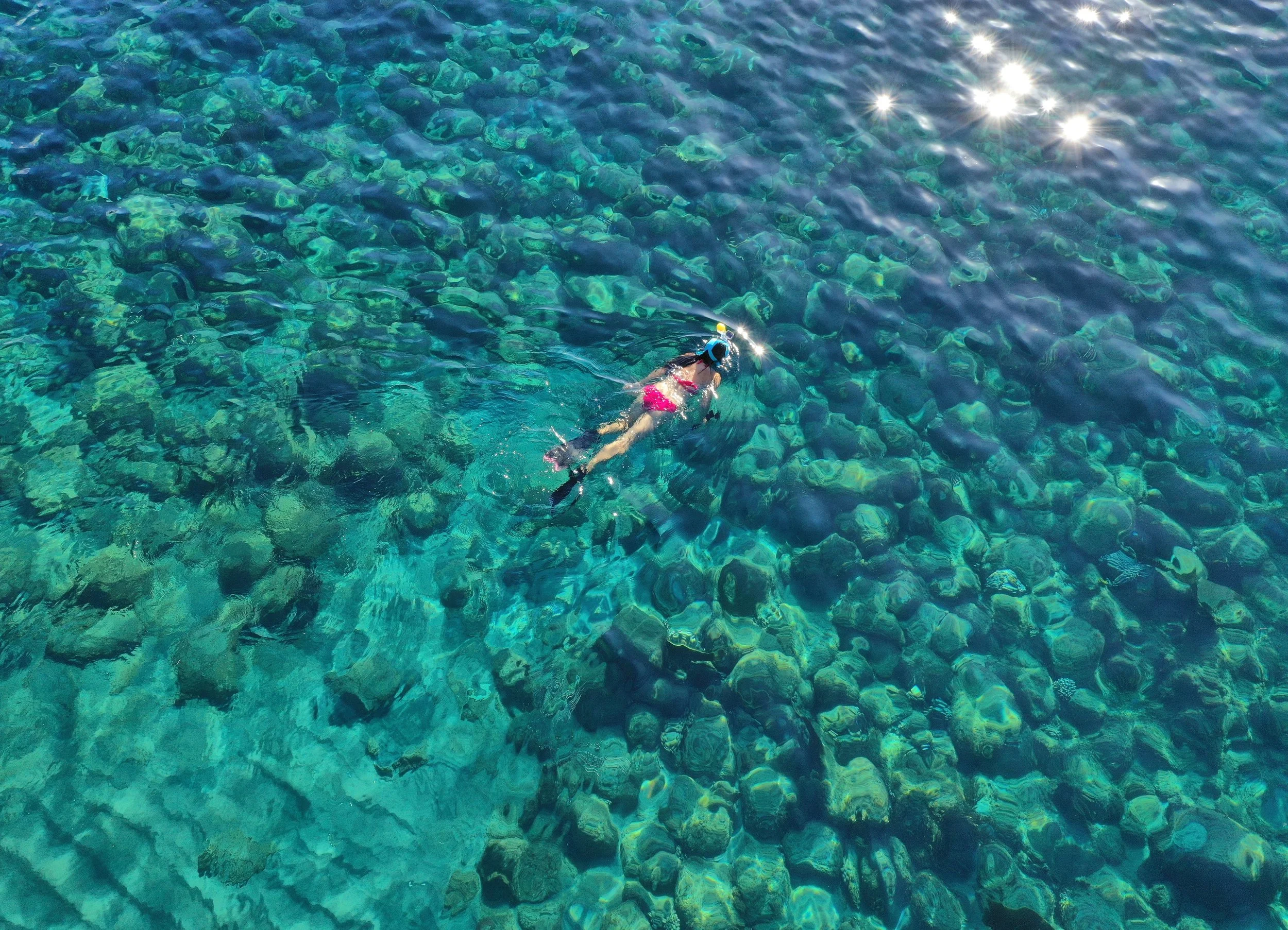 116-Snorkeling-above-the-Reef.jpg