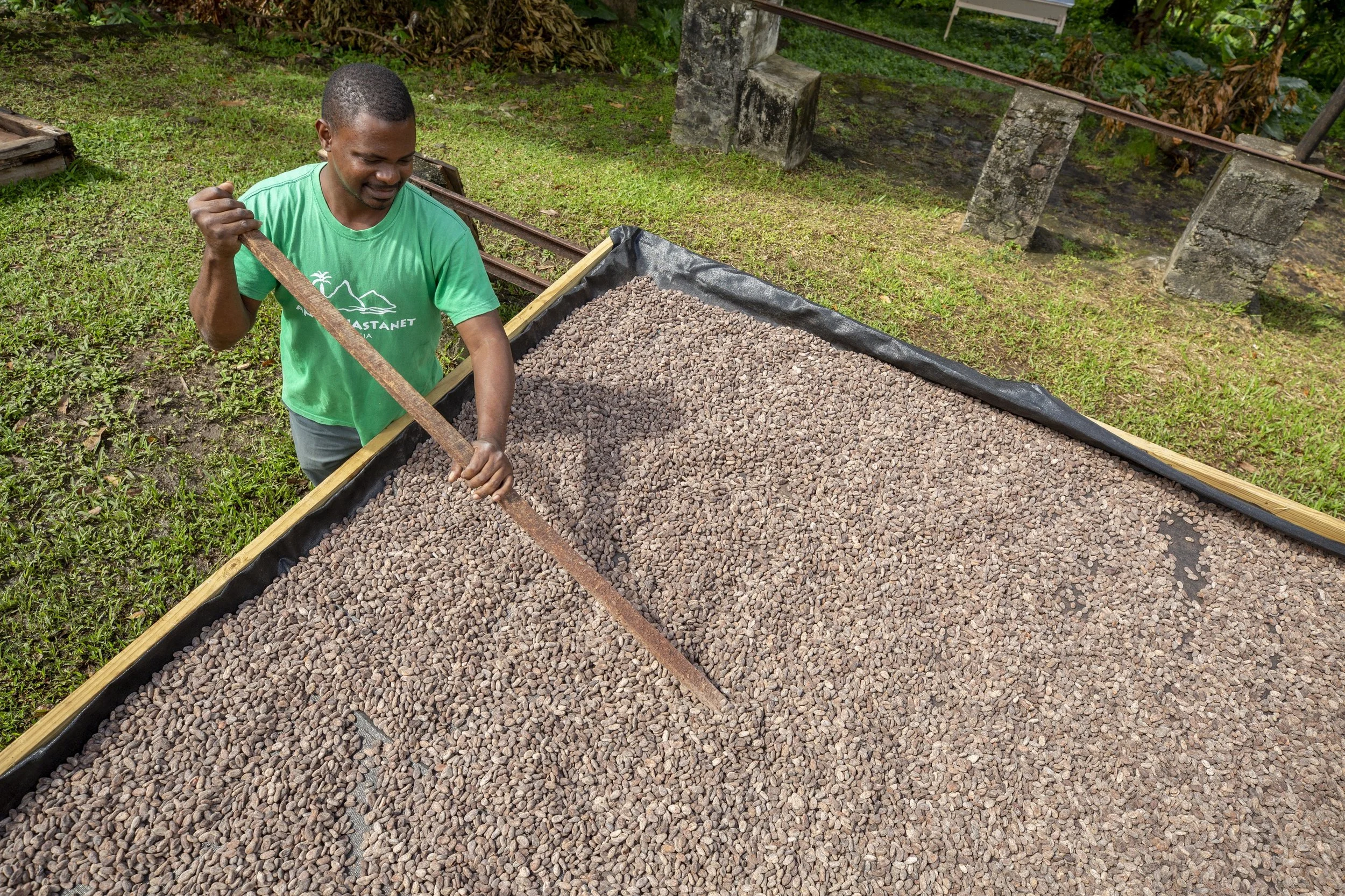 138-Drying-Cacao-Beans.jpg