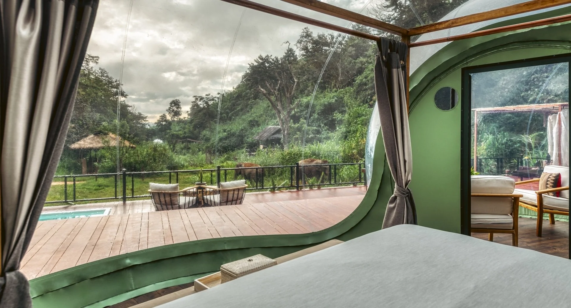 124-Jungle-Bubble-Lodge-Bedroom-View.jpg