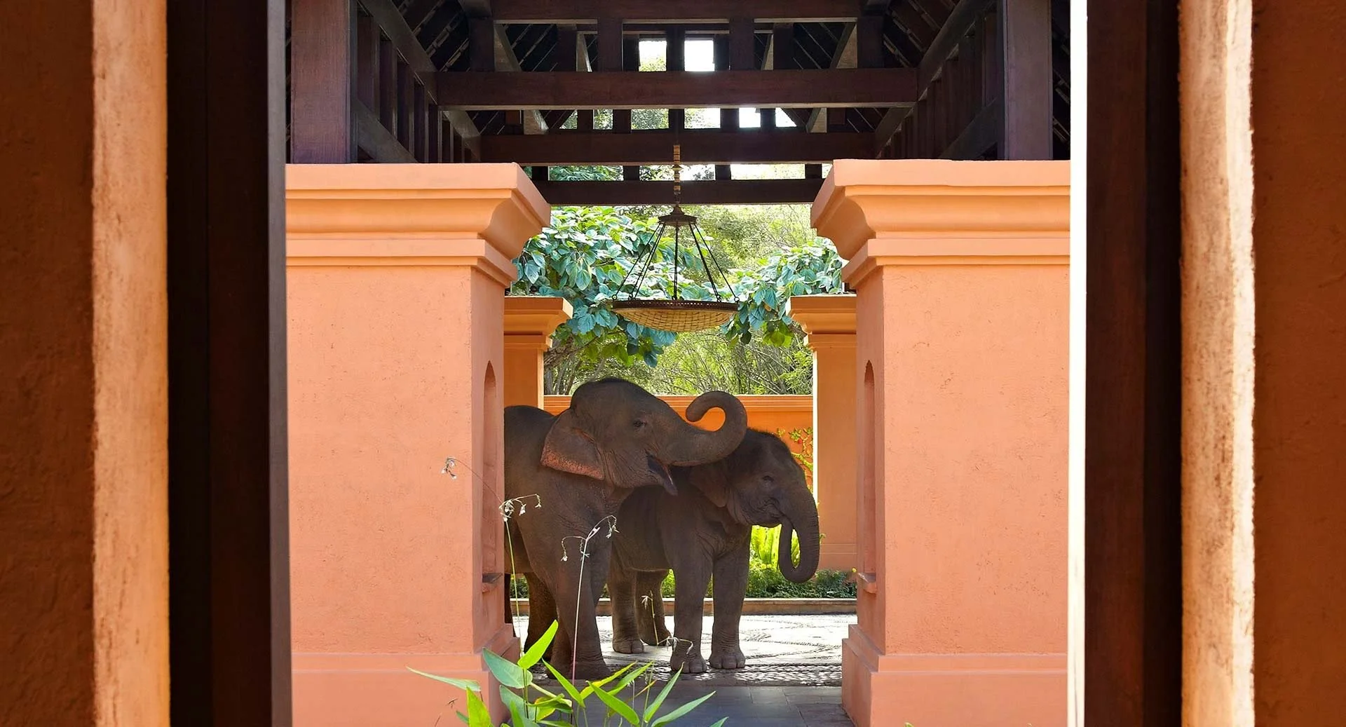 153-Elephants-Framed-by-Thai-Architecture.jpg