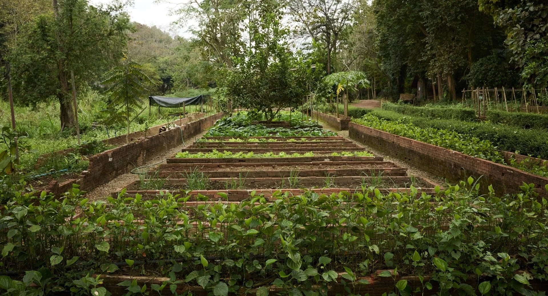 195-Estate-Vegetable-Garden.jpg