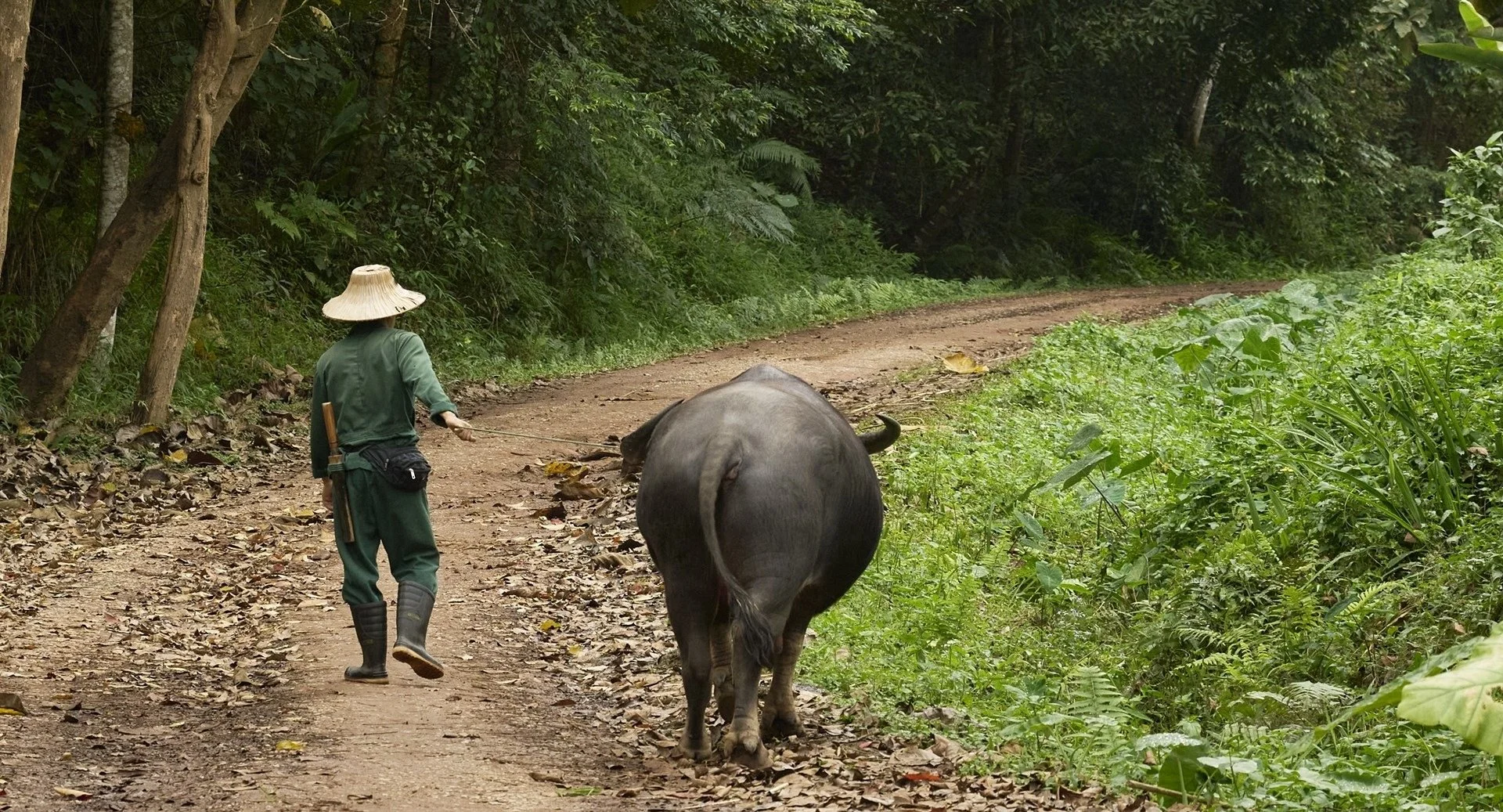 198-Mahout-and-Elephant-on-the-Estate.jpg