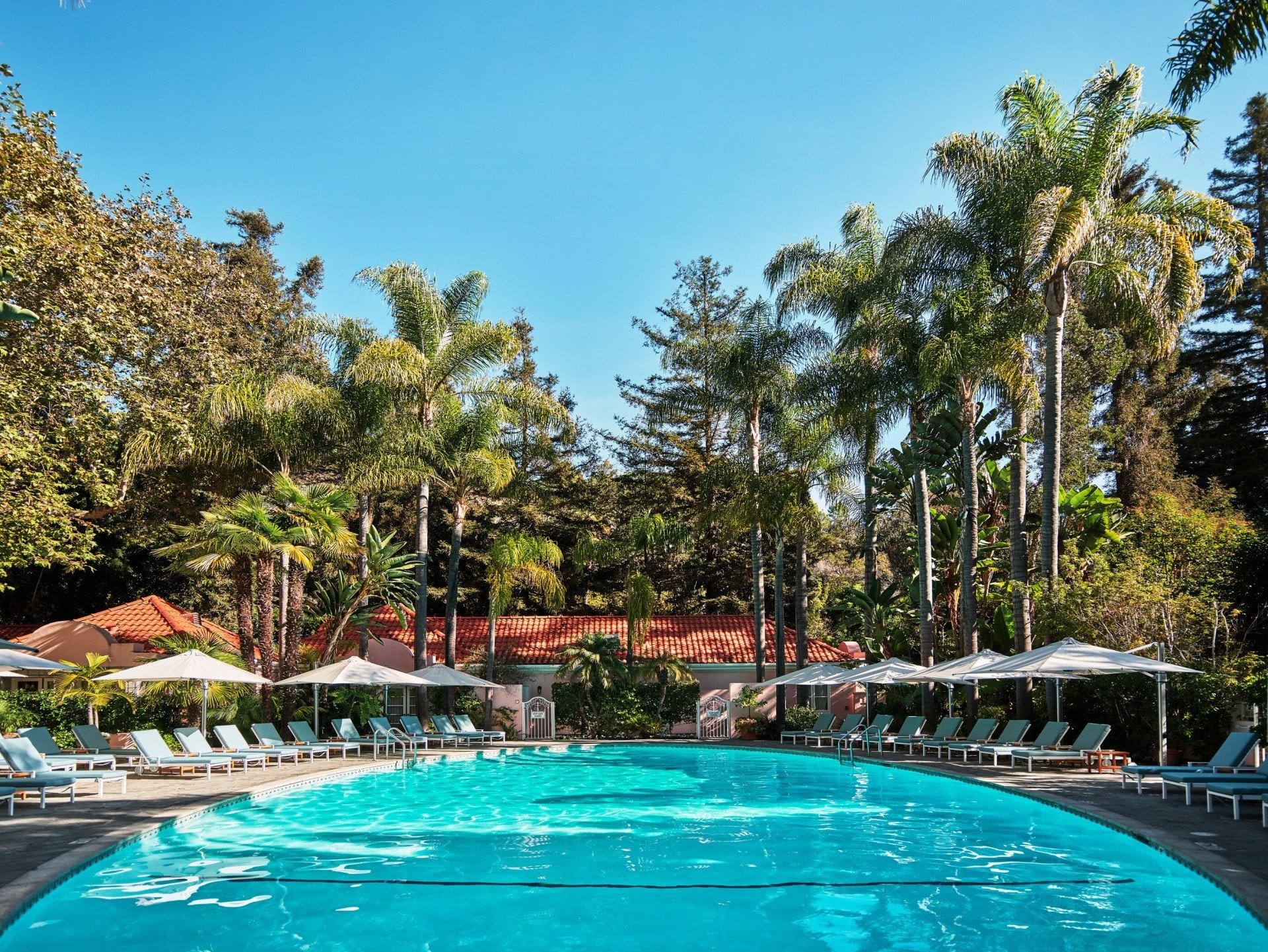 001-Oval-Pool-and-Palm-Trees.jpg