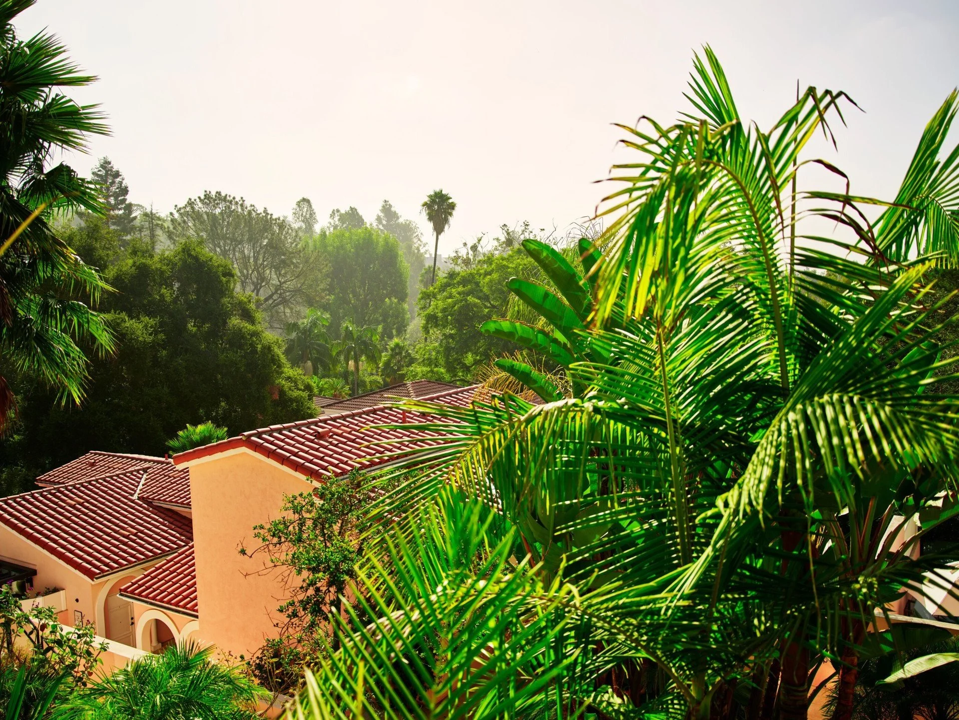 210-Hotel-Rooflines-and-Wooded-Hills.jpg