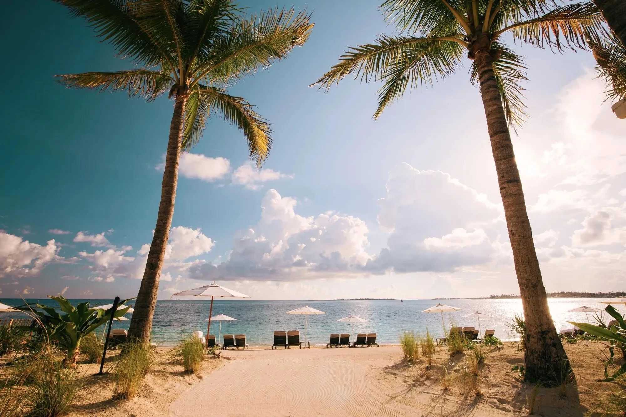 003-Cable-Beach-Palms-at-Sunset.jpg