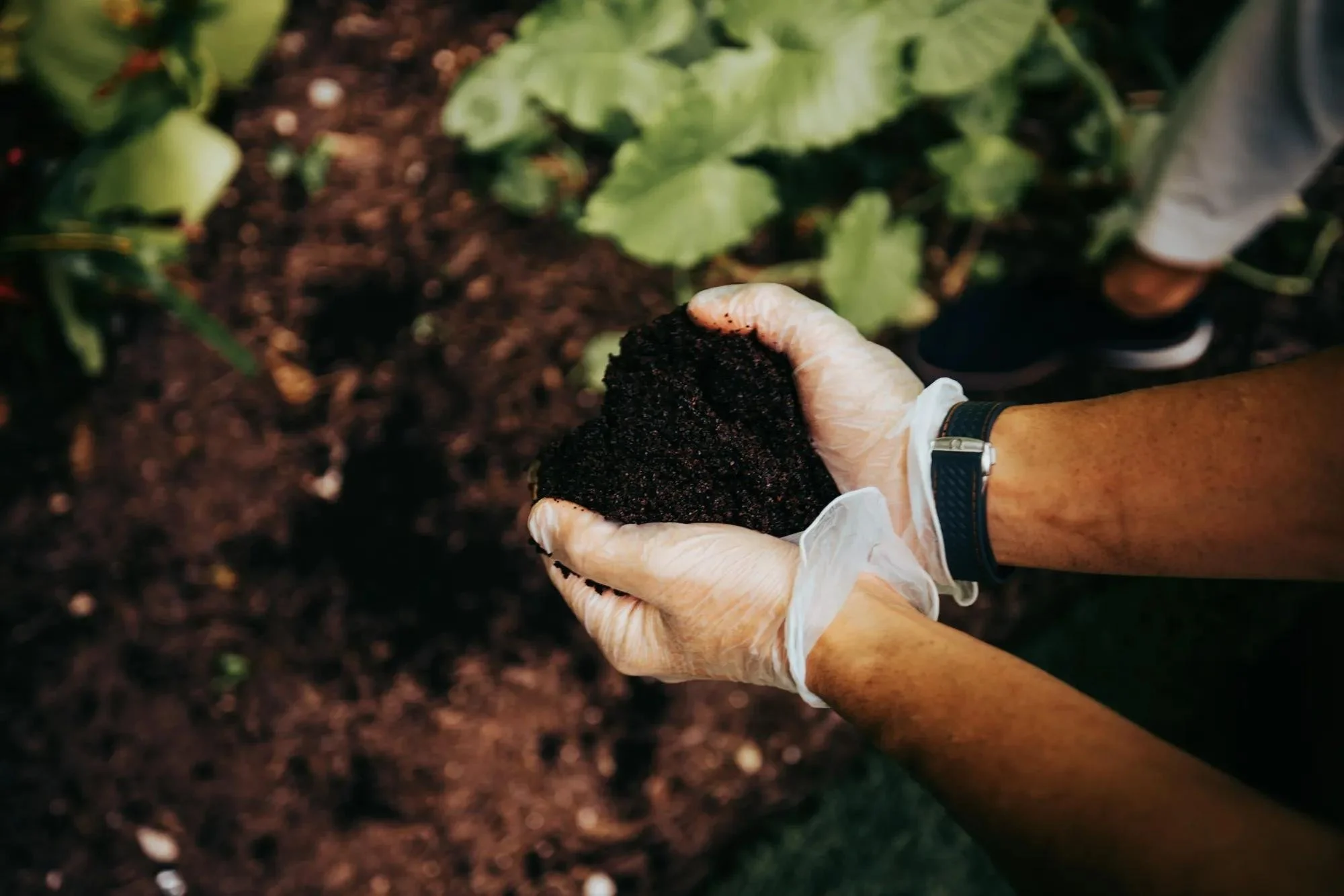 152-Garden-Planting-Activity.jpg