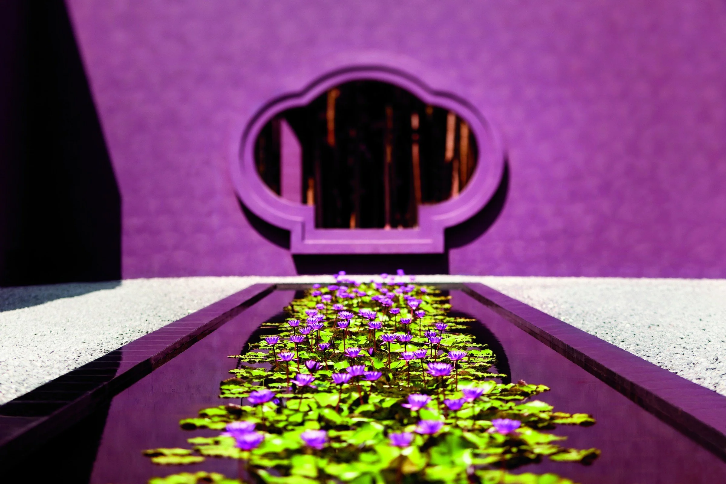 158-Purple-Courtyard-Water-Feature.jpg