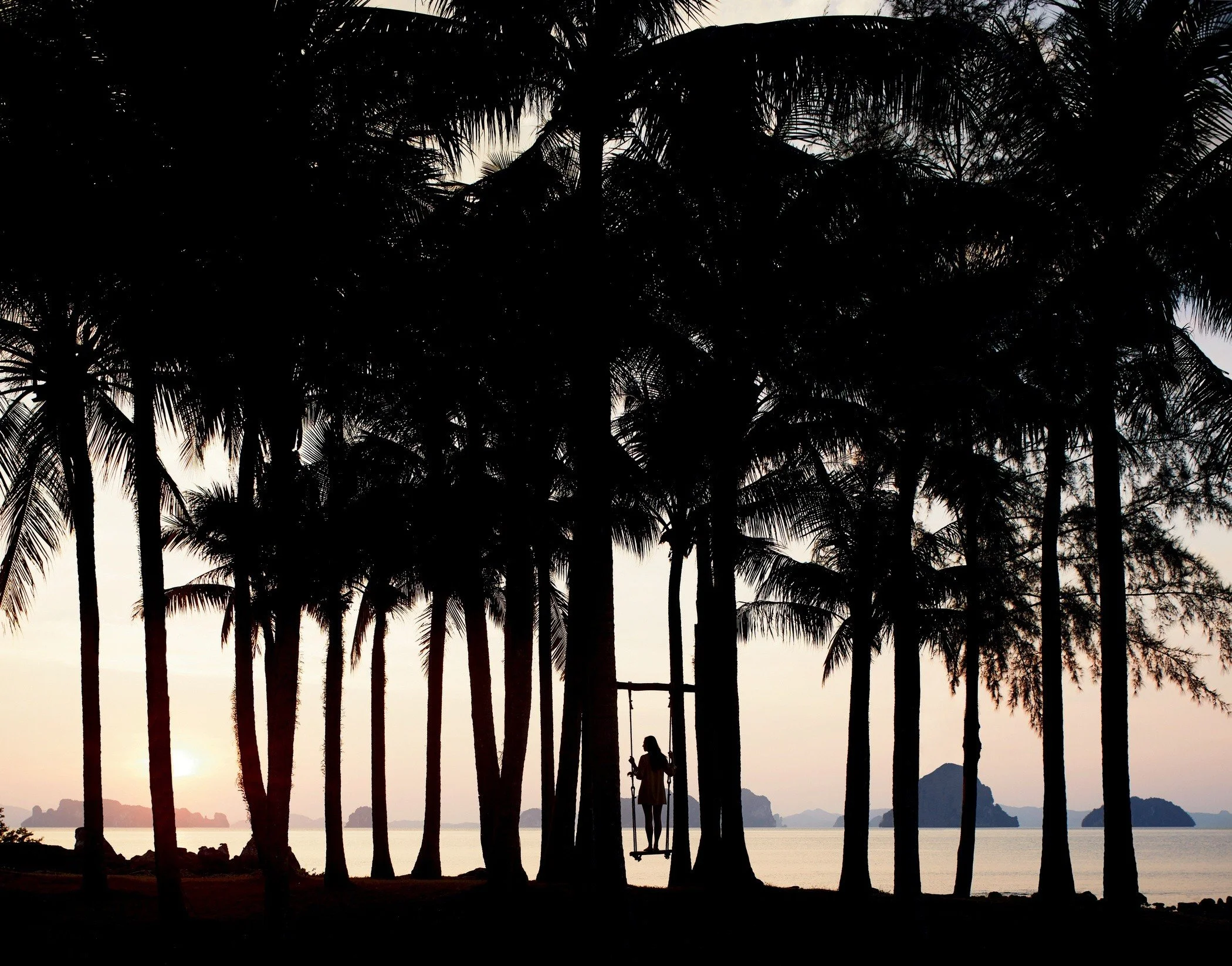 159-Seafront-Palms-and-Swing.jpg