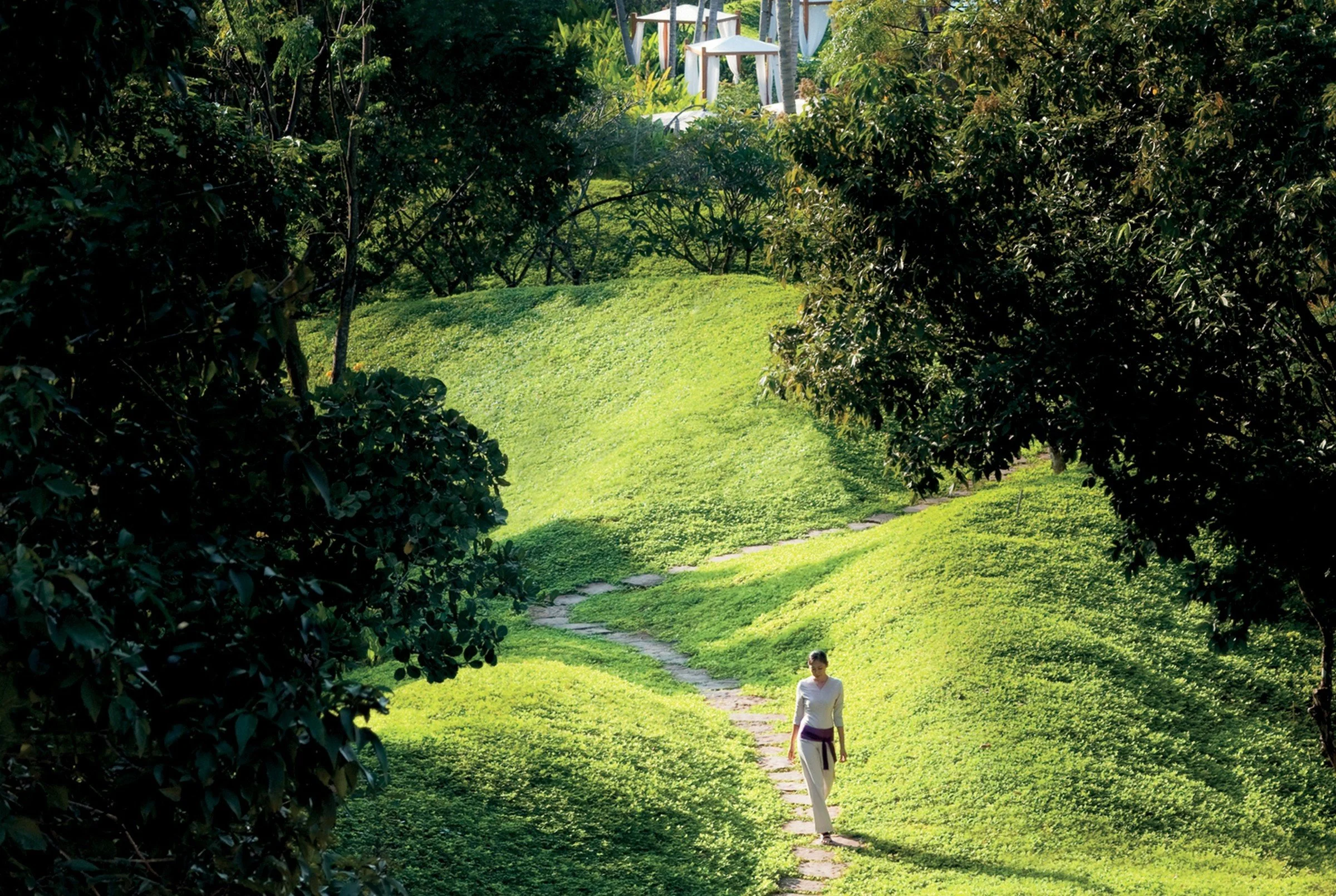 161-Resort-Lawns-and-Tropical-Gardens.jpg