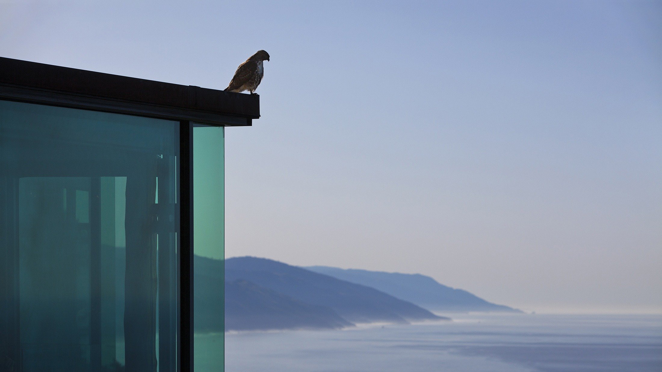 26-Falcon-at-Sierra-Mar.jpg