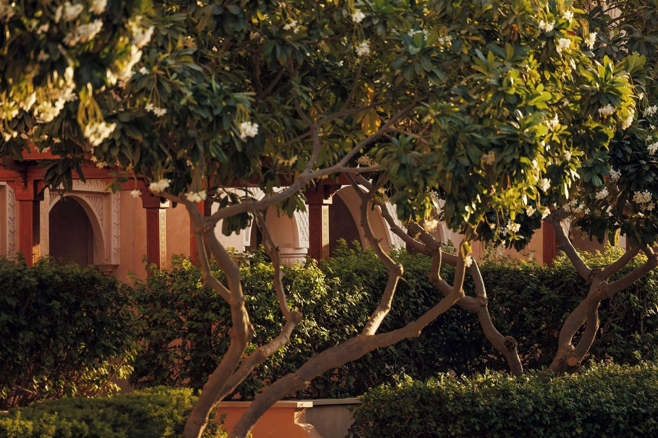 Dubai-39-Garden-and-Resort-Architecture.jpg