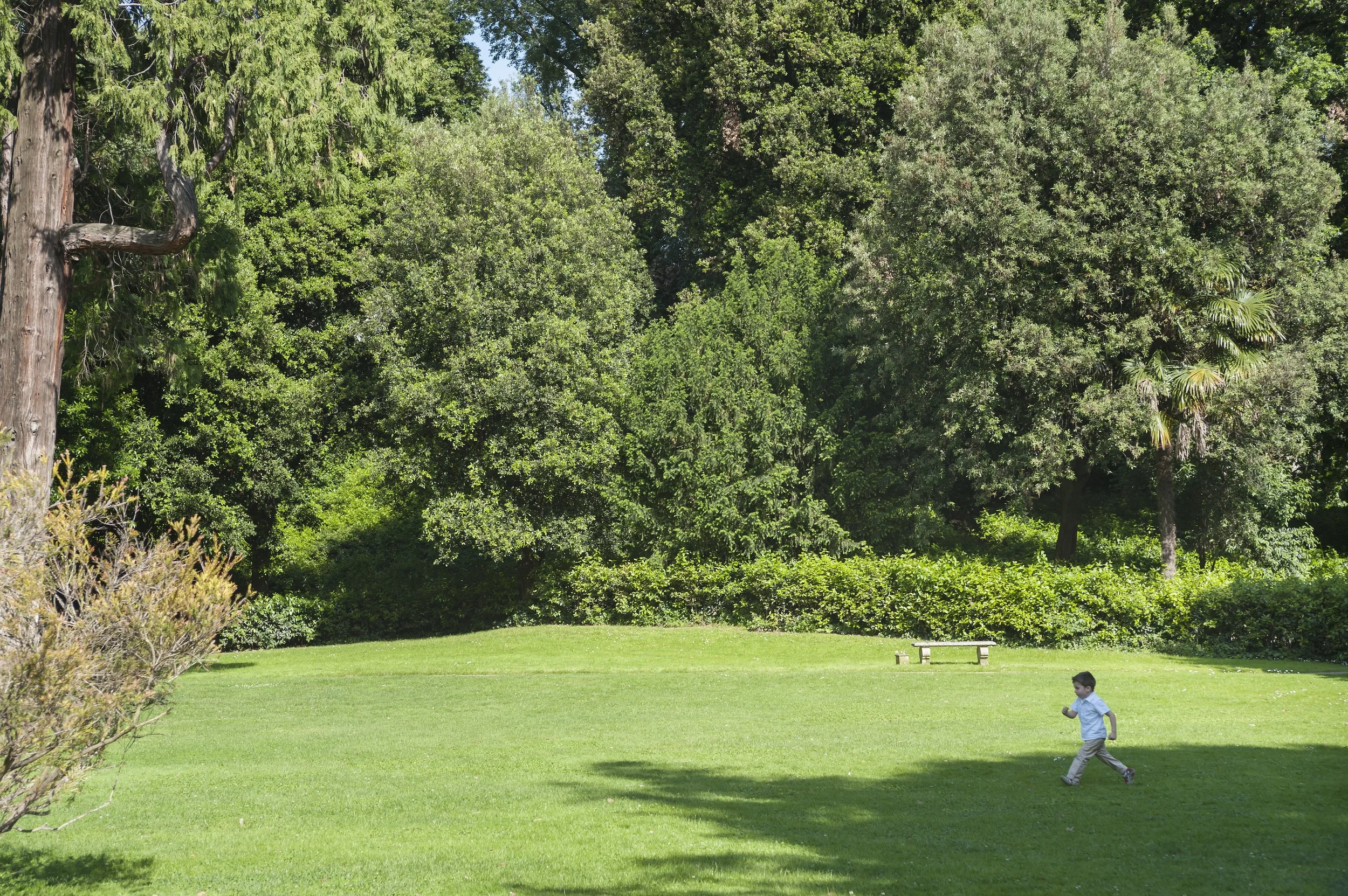 Four-Seasons-Firenze-Gherardesca-Garden-Lawn.jpg