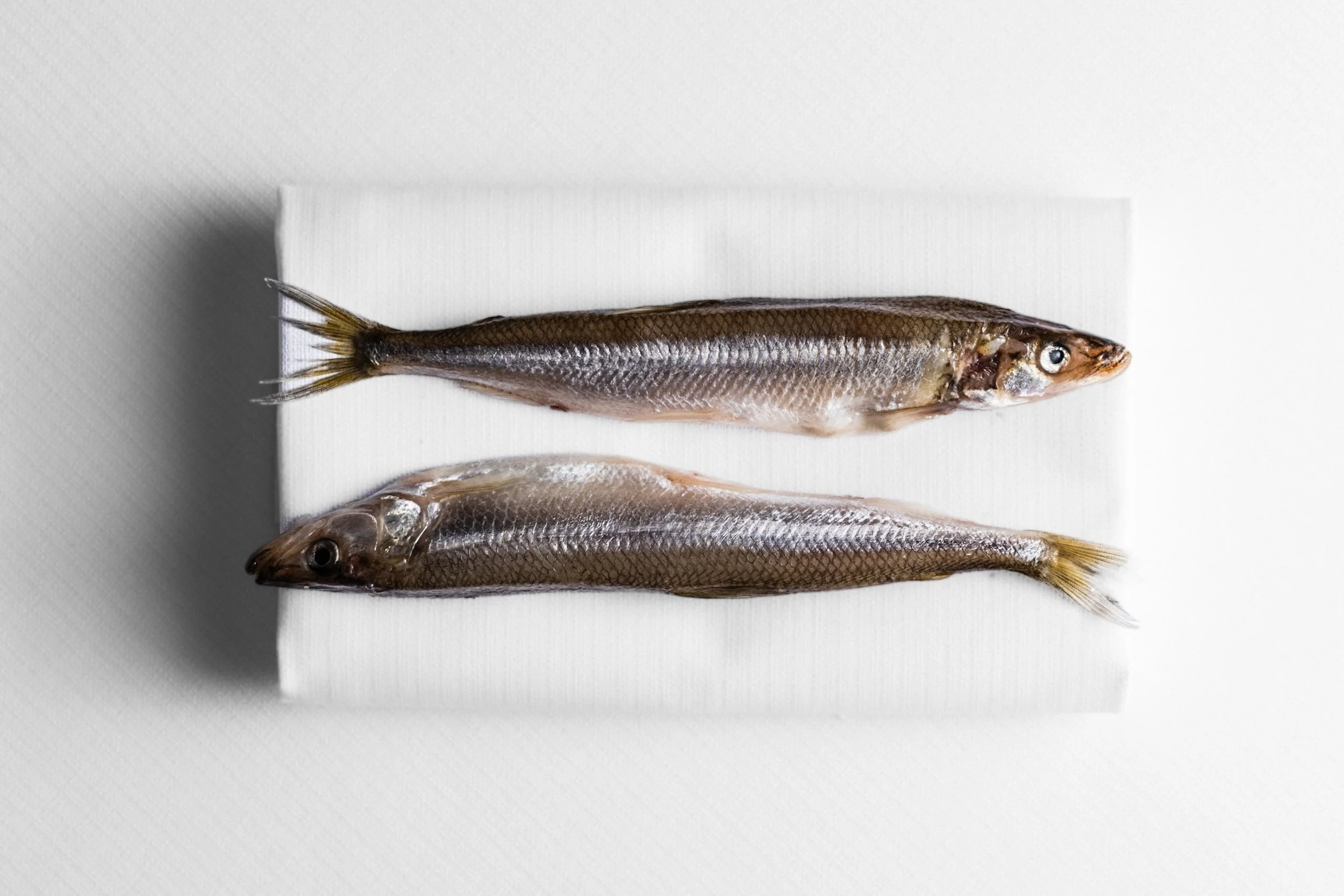 29-Grand-Hotel-Stockholm-Seafood-Gastro-Ingredients.jpg