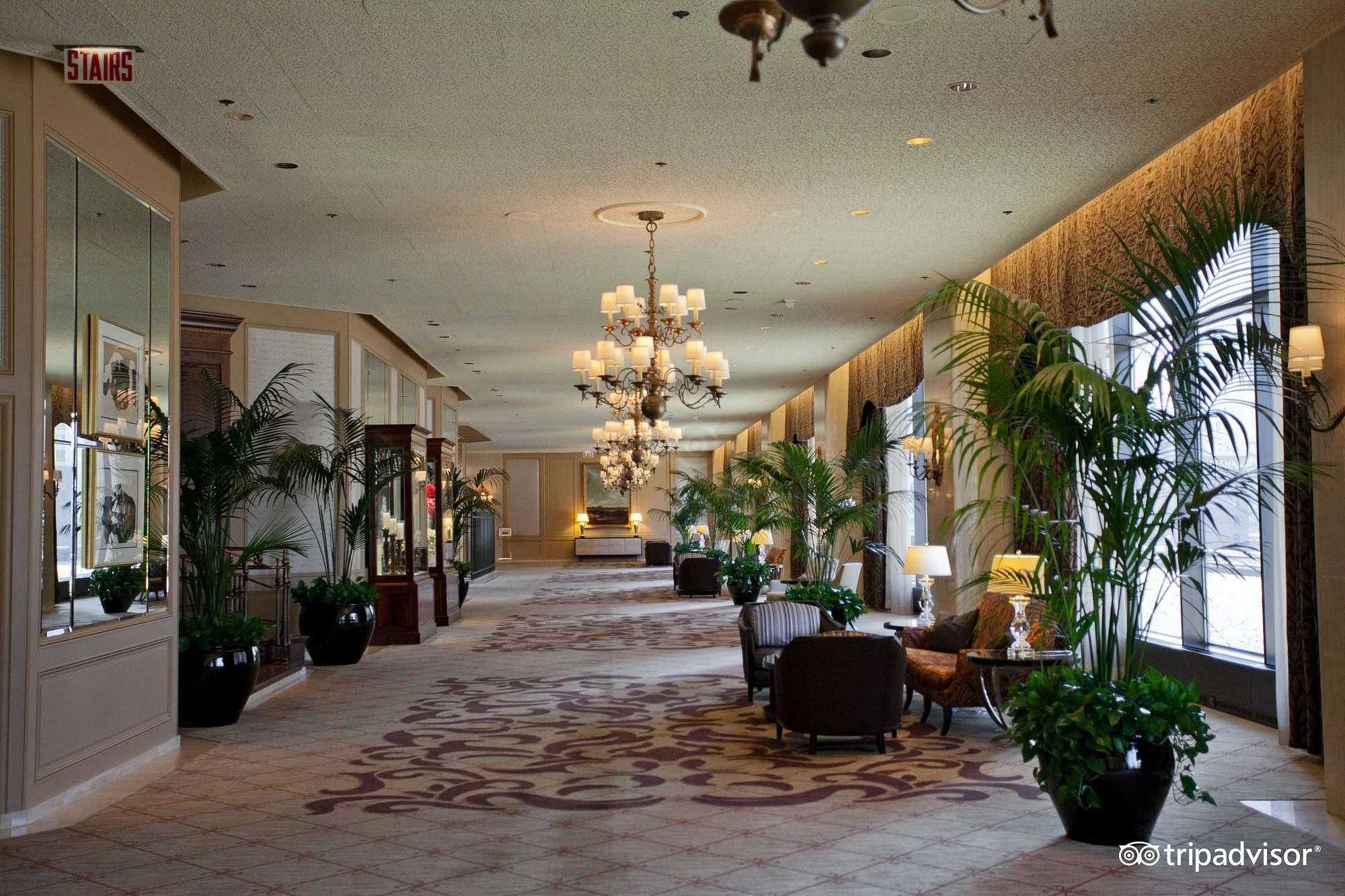 lobby--v1047027-57.jpg