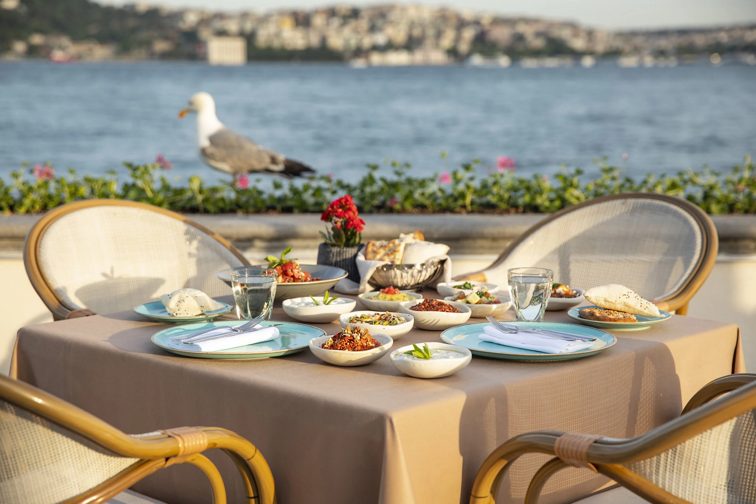 05-Outdoor-Dining-Table-and-Bosphorus-Views-BOP-1034.jpg