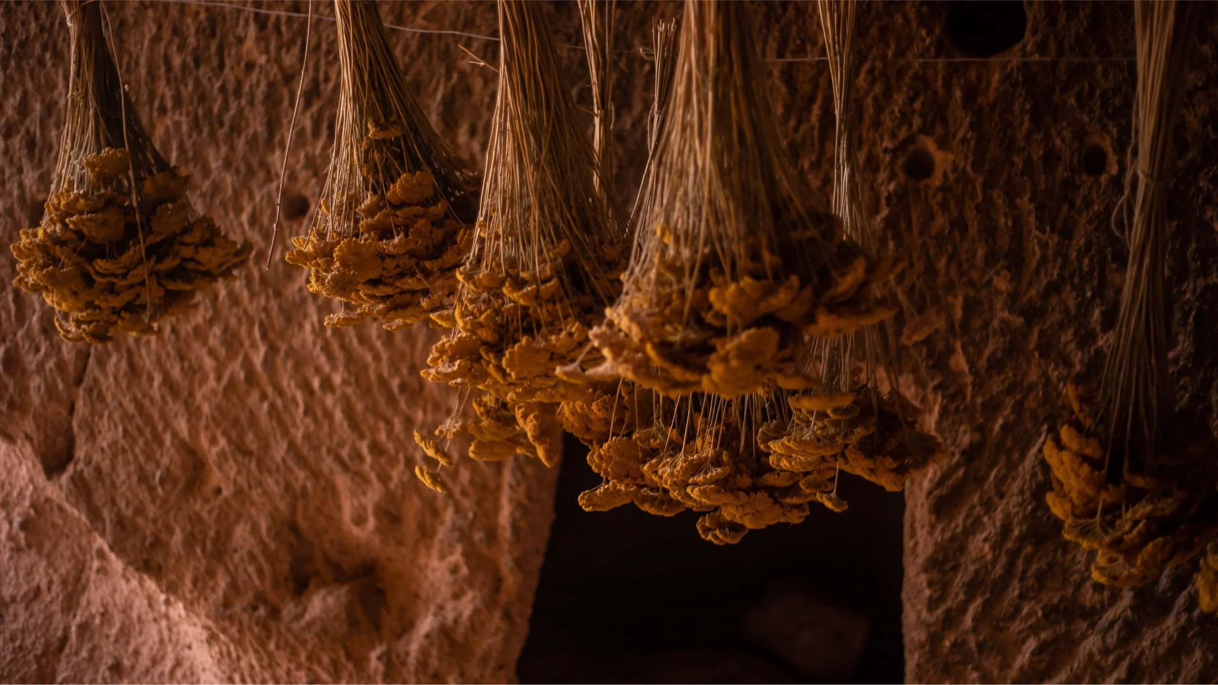 09-Hanging-Produce-and-Preservation-Detail.jpg