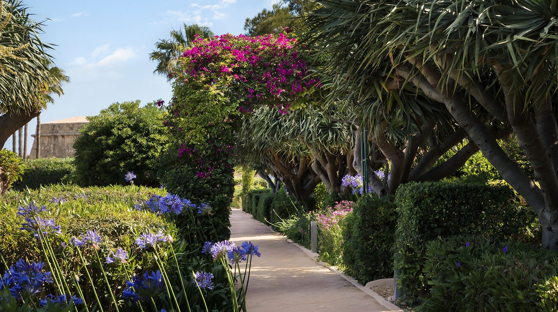 the-phoenicia-malta-Phoenicia-Gardens.jpeg