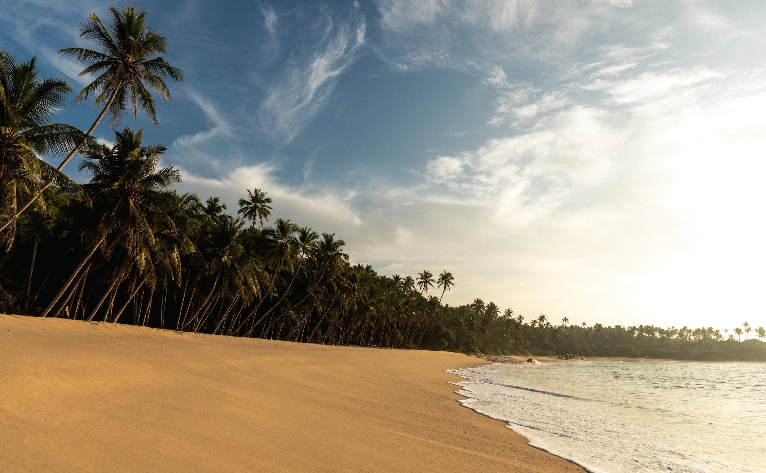 01-Amanwella-Amanwella-Beach-and-Coconut-Grove.jpg