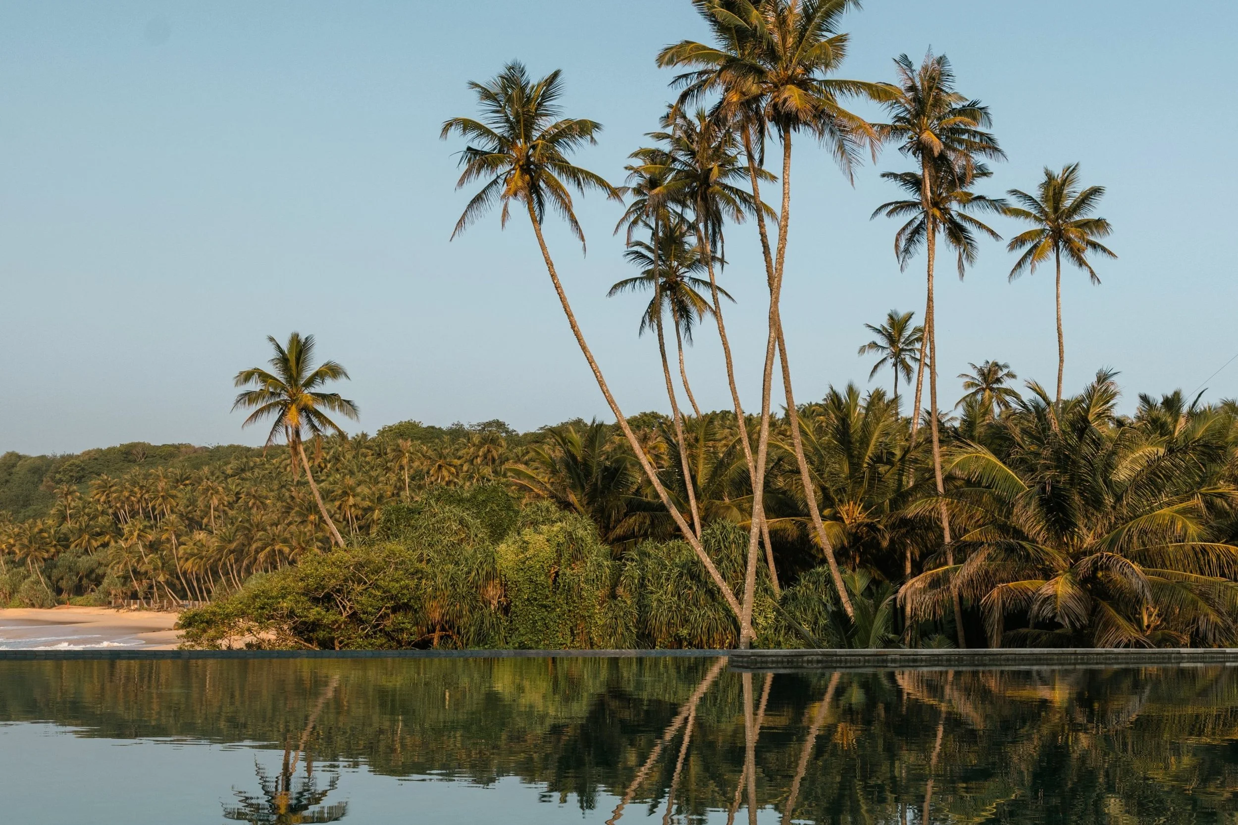 06-Amanwella-Main-Pool-and-Ocean.jpg