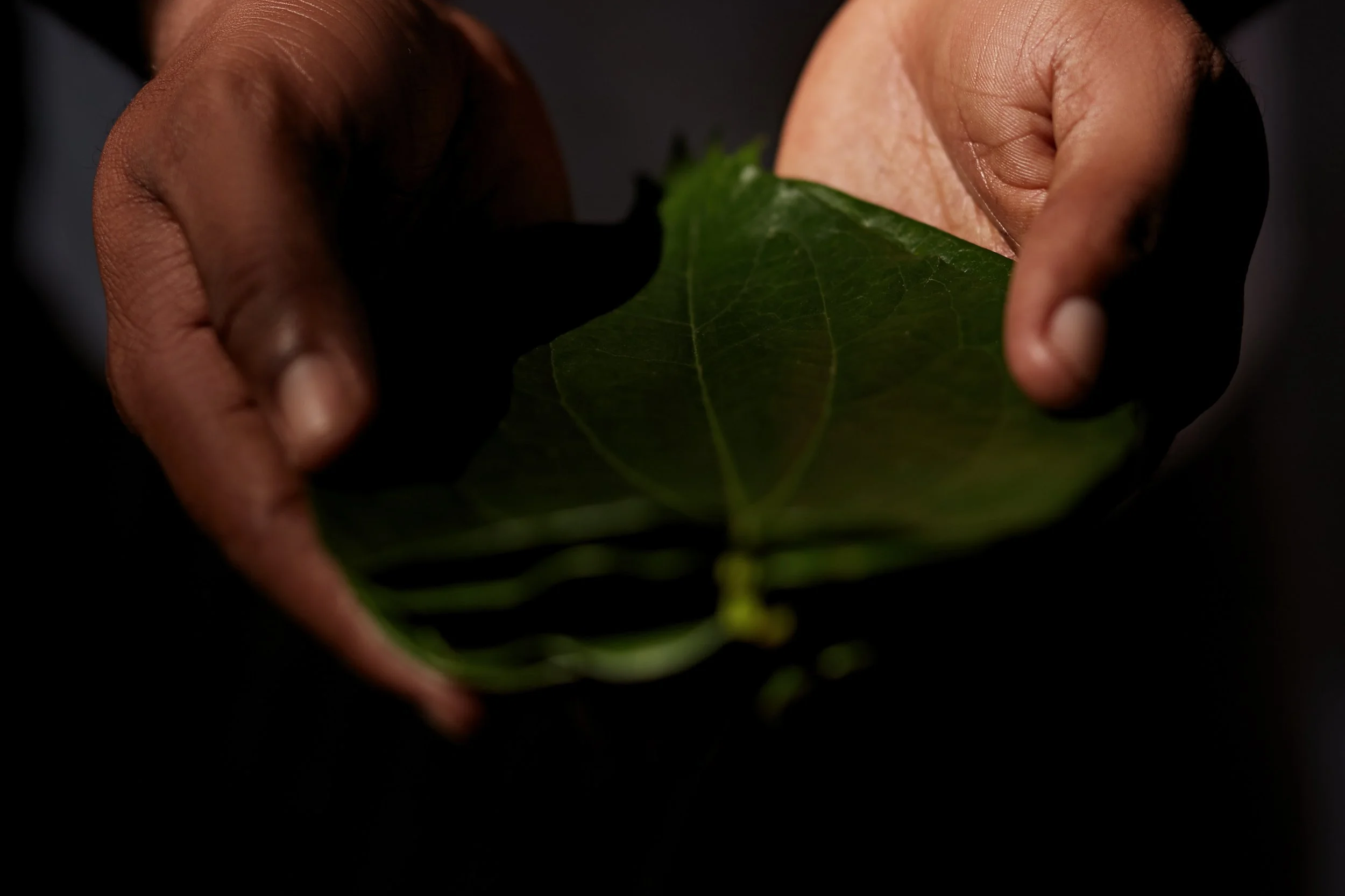 09-Amanwella-Local-Leaf-Craft.jpg