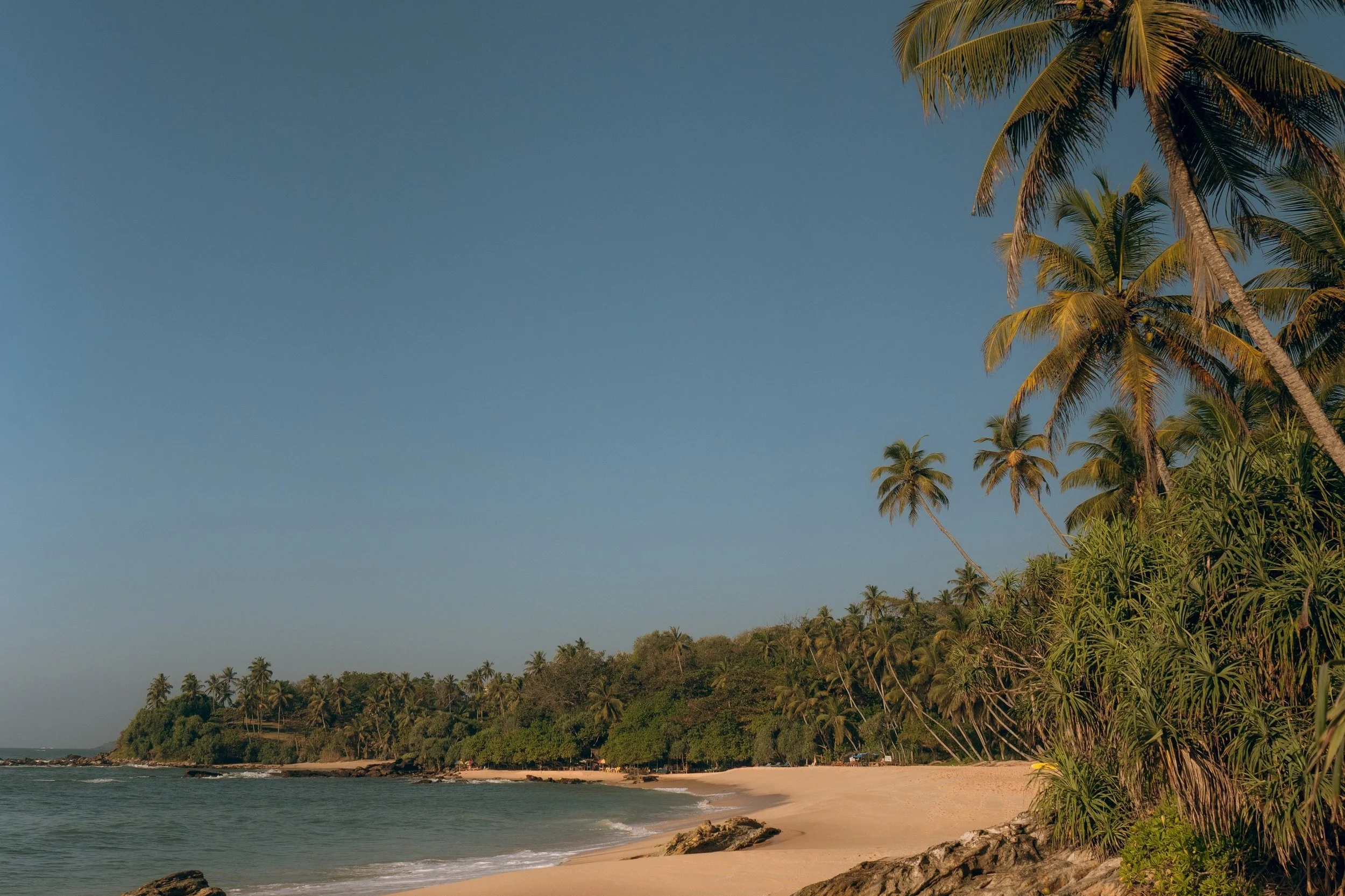 14-Amanwella-Golden-Sand-and-Coconut-Palms.jpg