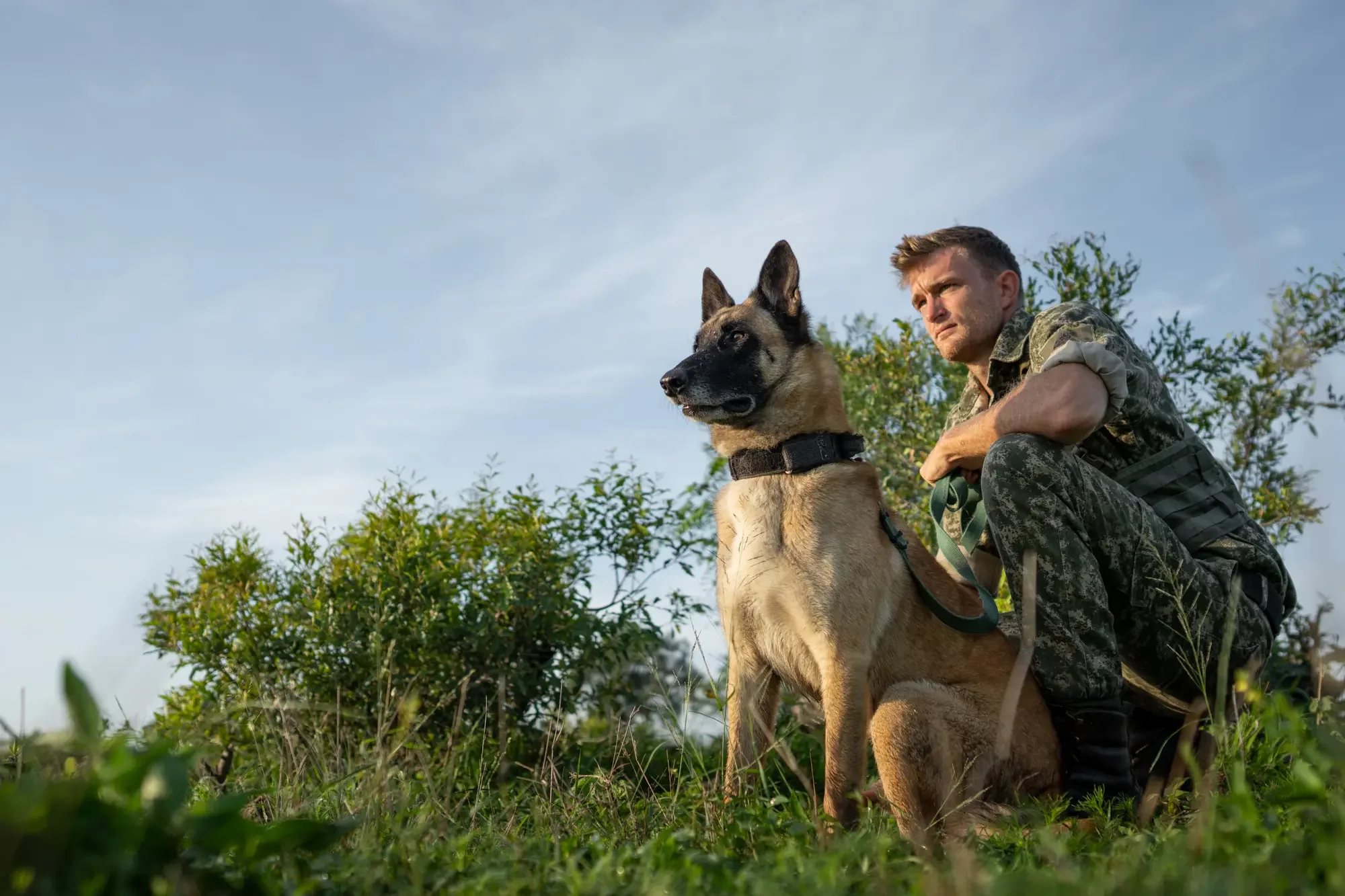 SS_CONSERVATION_K9_Ross_Couper_27__1_.webp