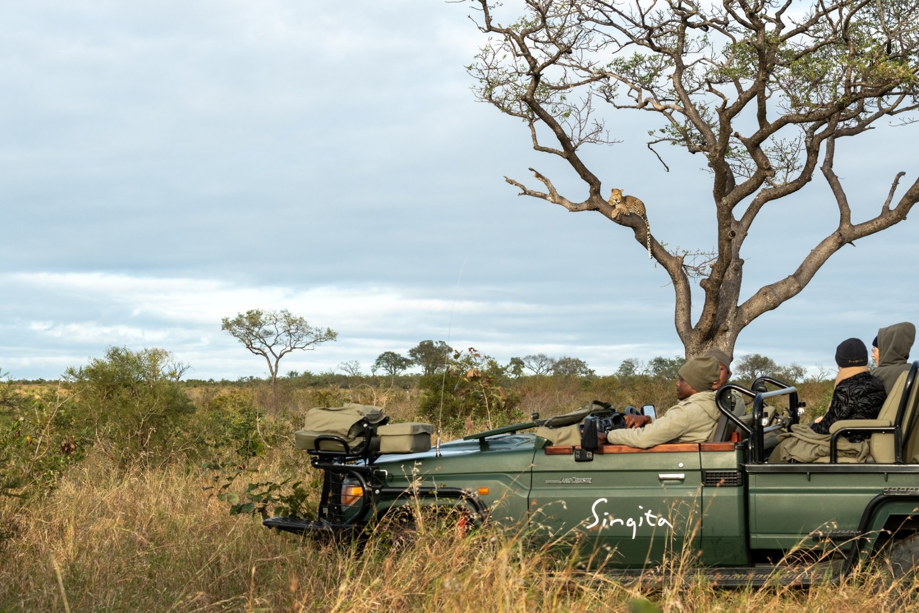 Singita_Sabi_Sand_Leopard_On_Game_Drive__5.jpg