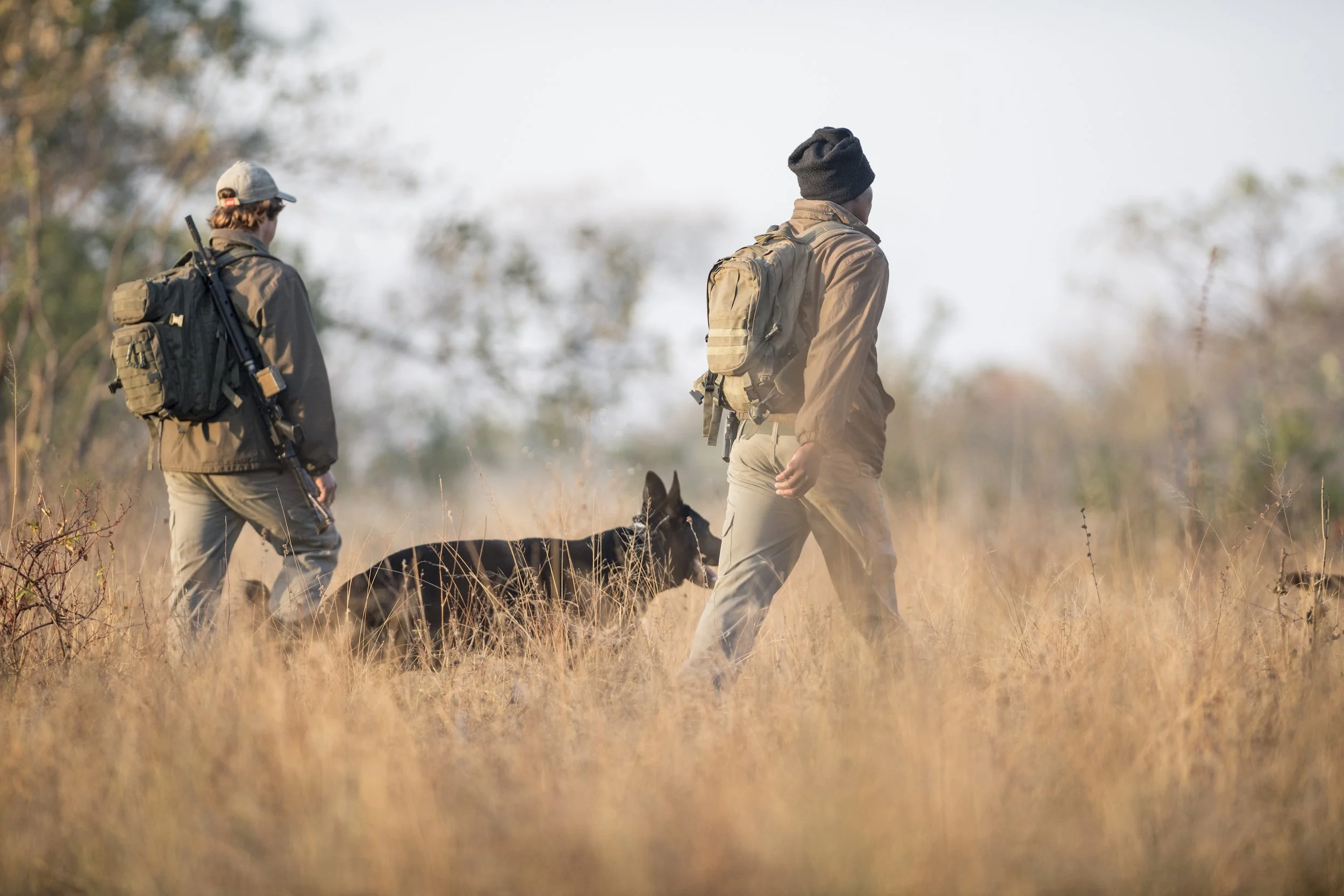 Conservation_-_K9_Unit_-_Singita_Sabi_Sand-8.jpg