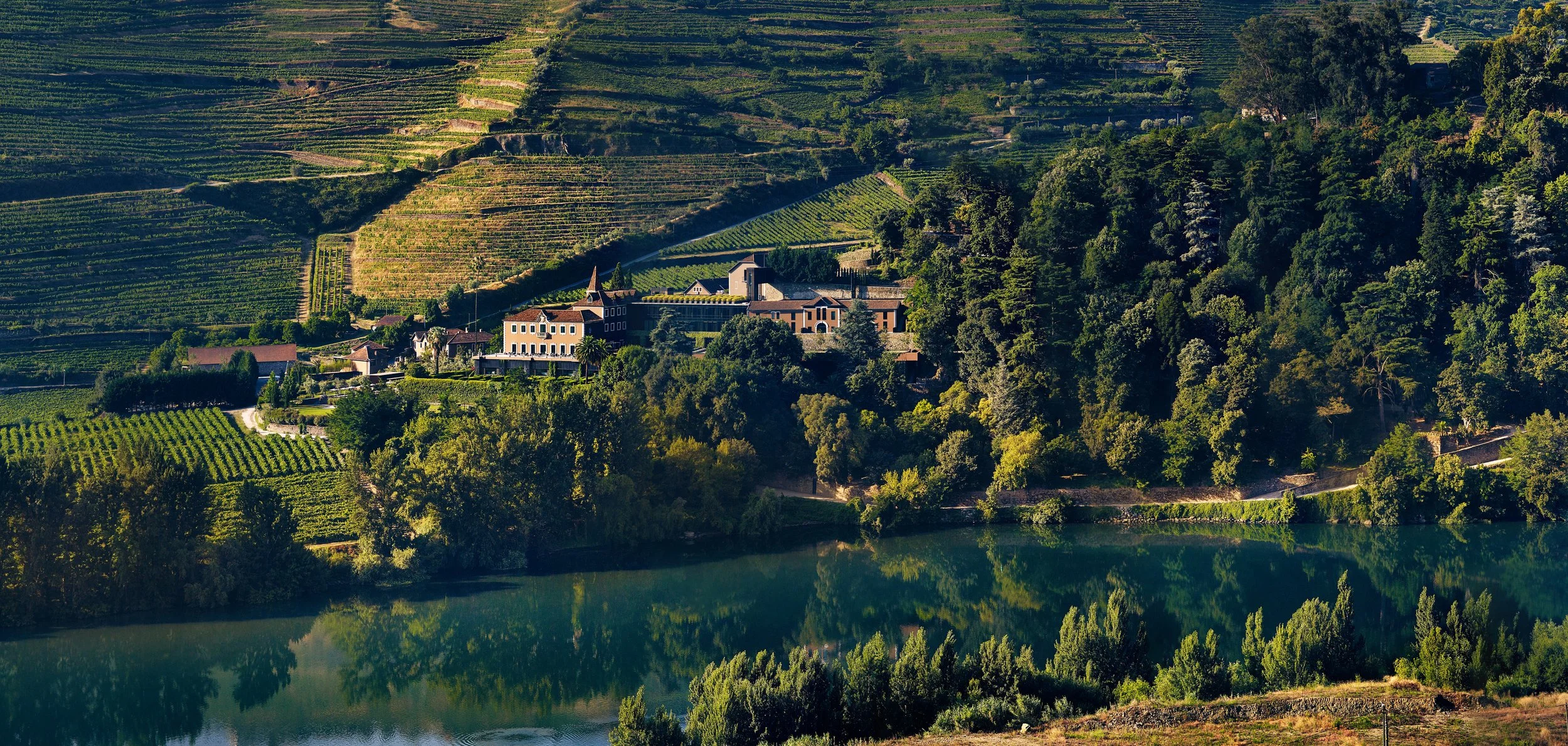 01-Six-Senses-Douro-Valley-Estate-and-Terraced-Vineyards.jpg