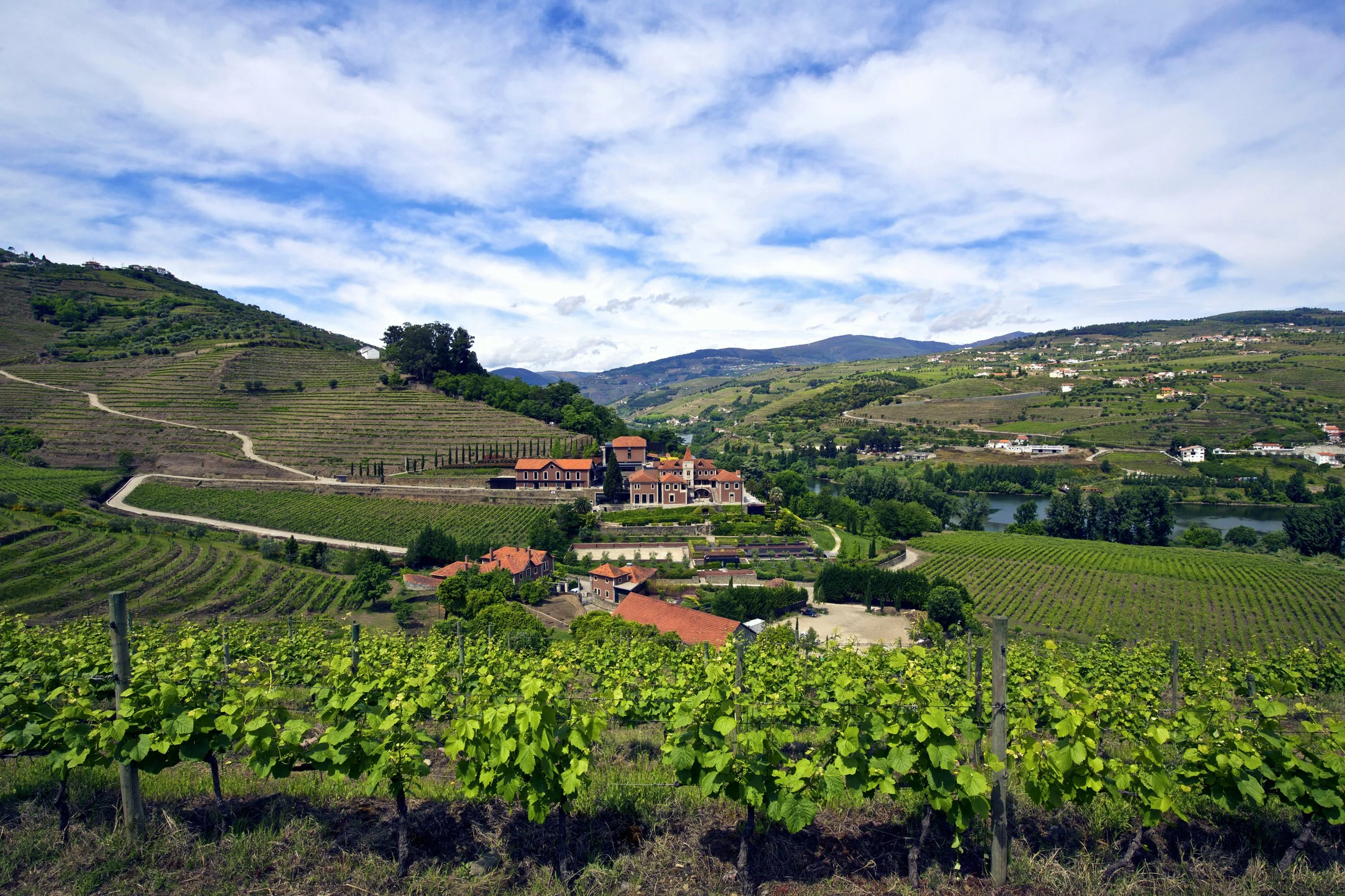 02-Six-Senses-Douro-Valley-Douro-Vineyard-Landscape.jpg