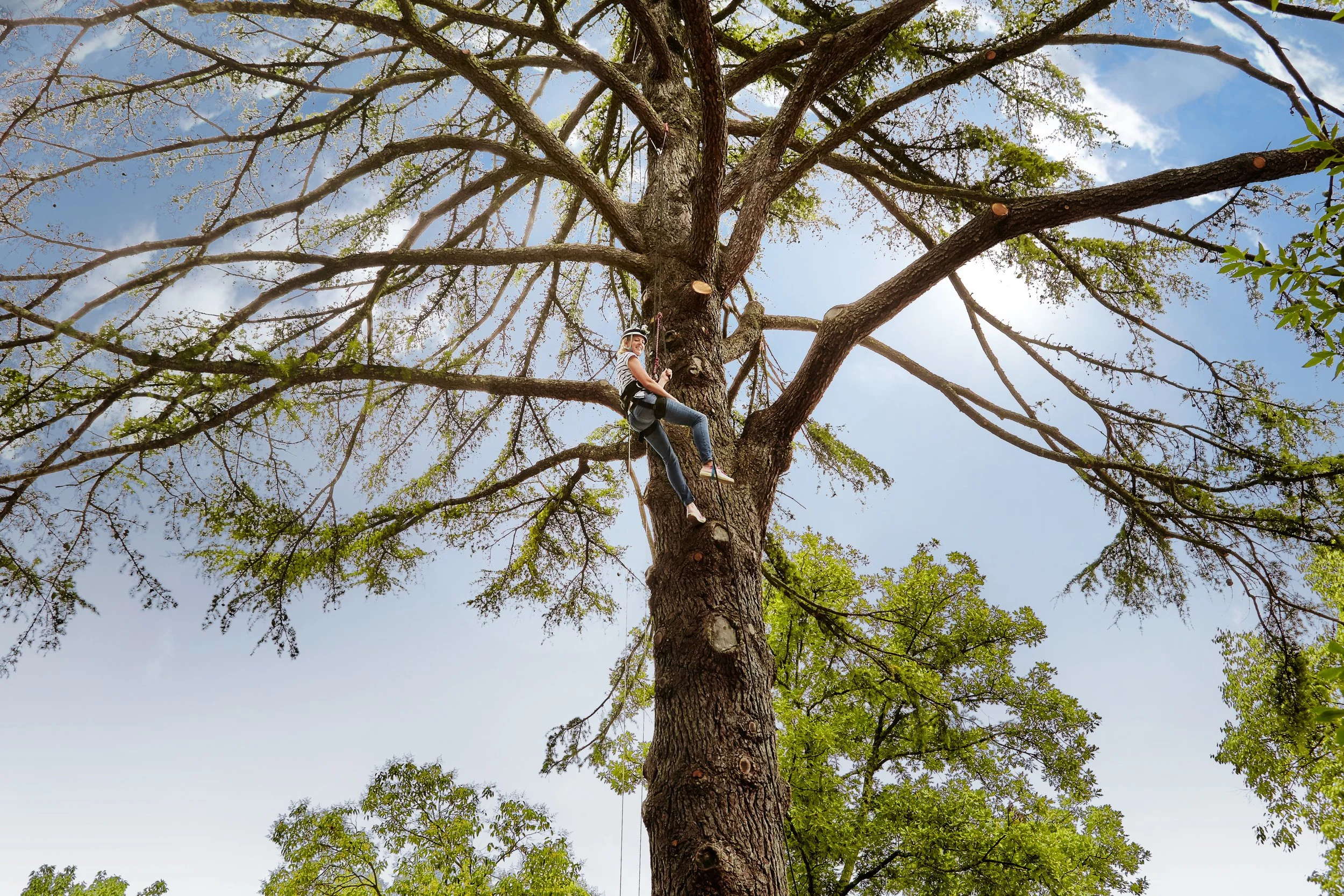 08-Six-Senses-Douro-Valley-Tree-Climbing-Activity.jpg