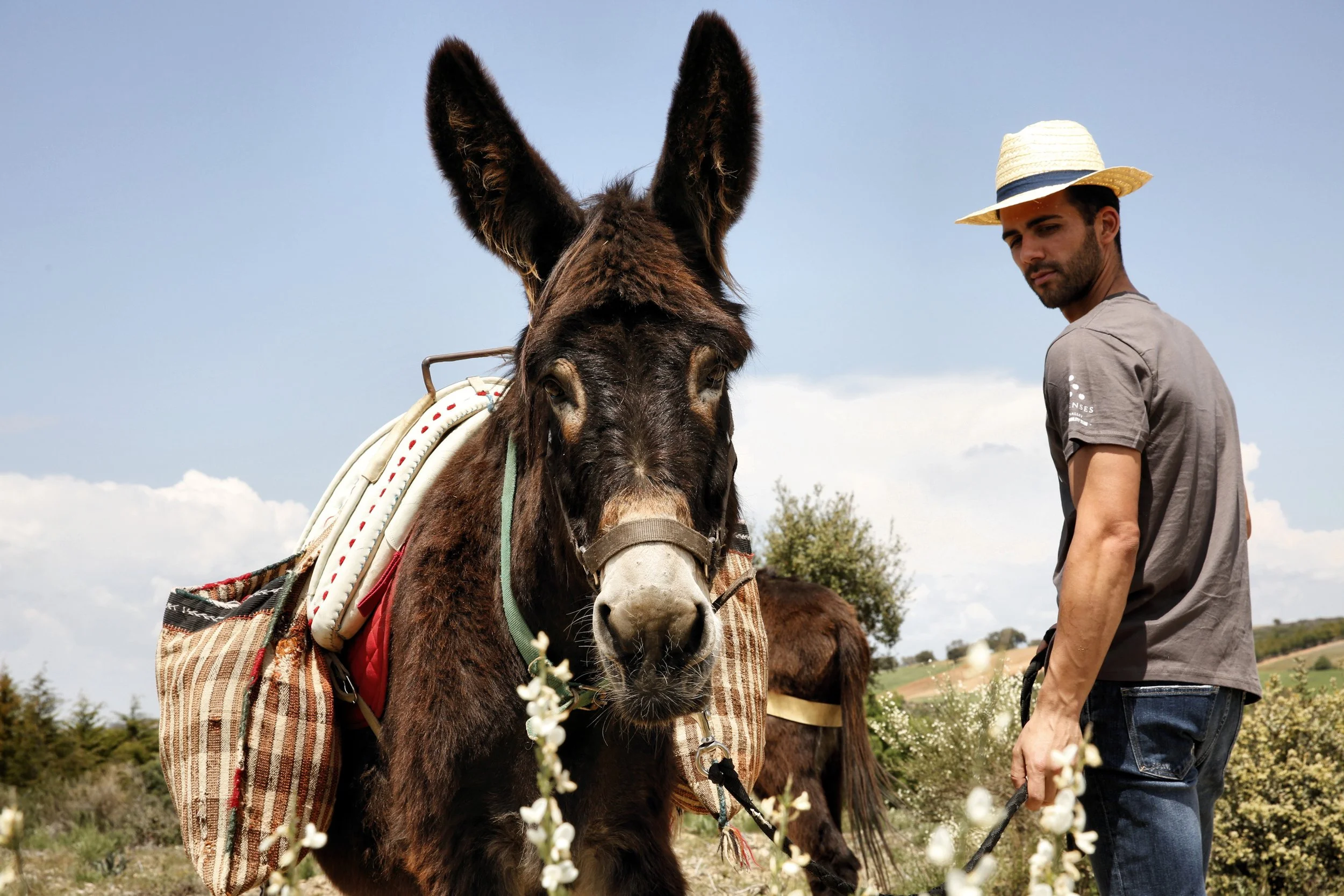 09-Six-Senses-Douro-Valley-Miranda-Donkey-Conservation.jpg