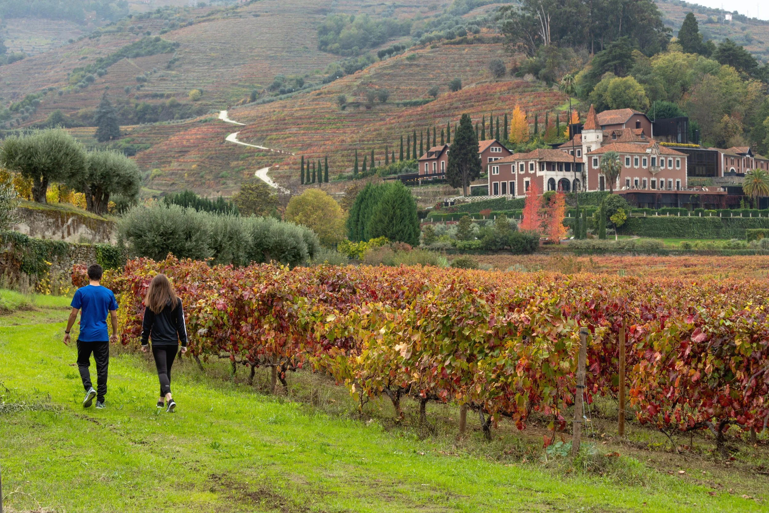 11-Six-Senses-Douro-Valley-Autumn-Vineyard-Walk-With-Hotel-View.jpg