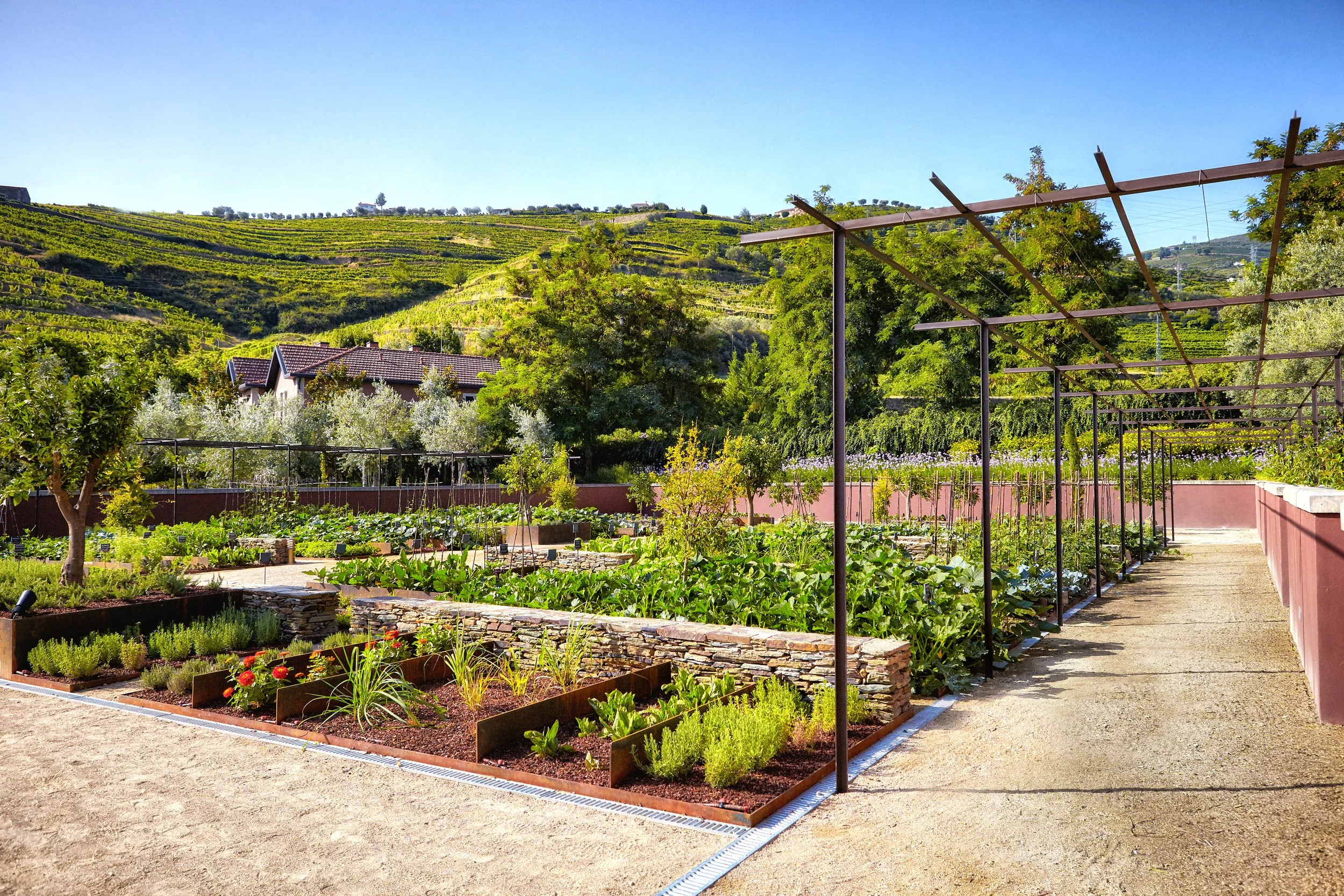 11-Six-Senses-Douro-Valley-Kitchen-Garden-in-the-Growing-Season.jpg