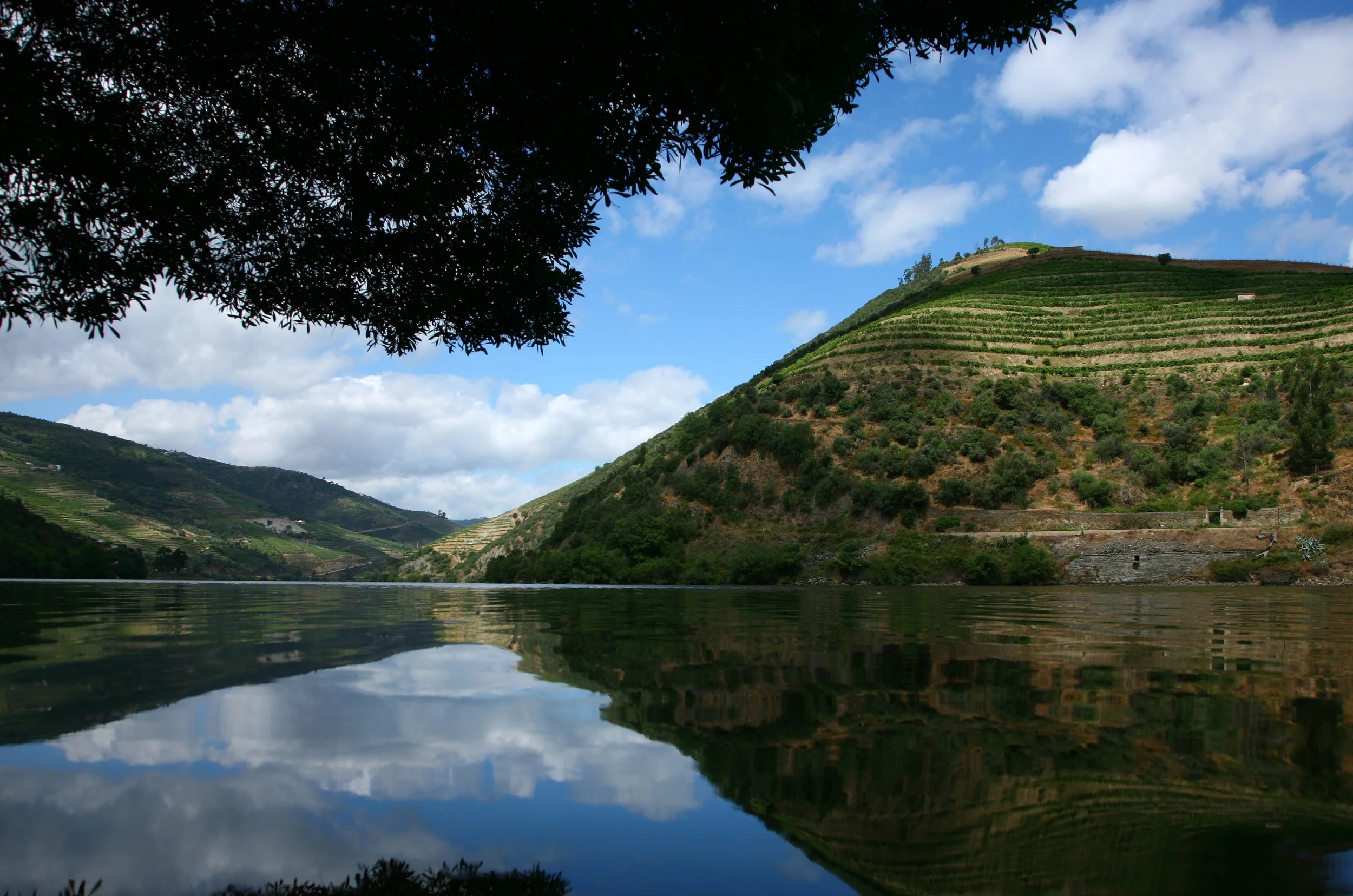 14-Six-Senses-Douro-Valley-Douro-River-and-Vineyard-Surroundings.jpg