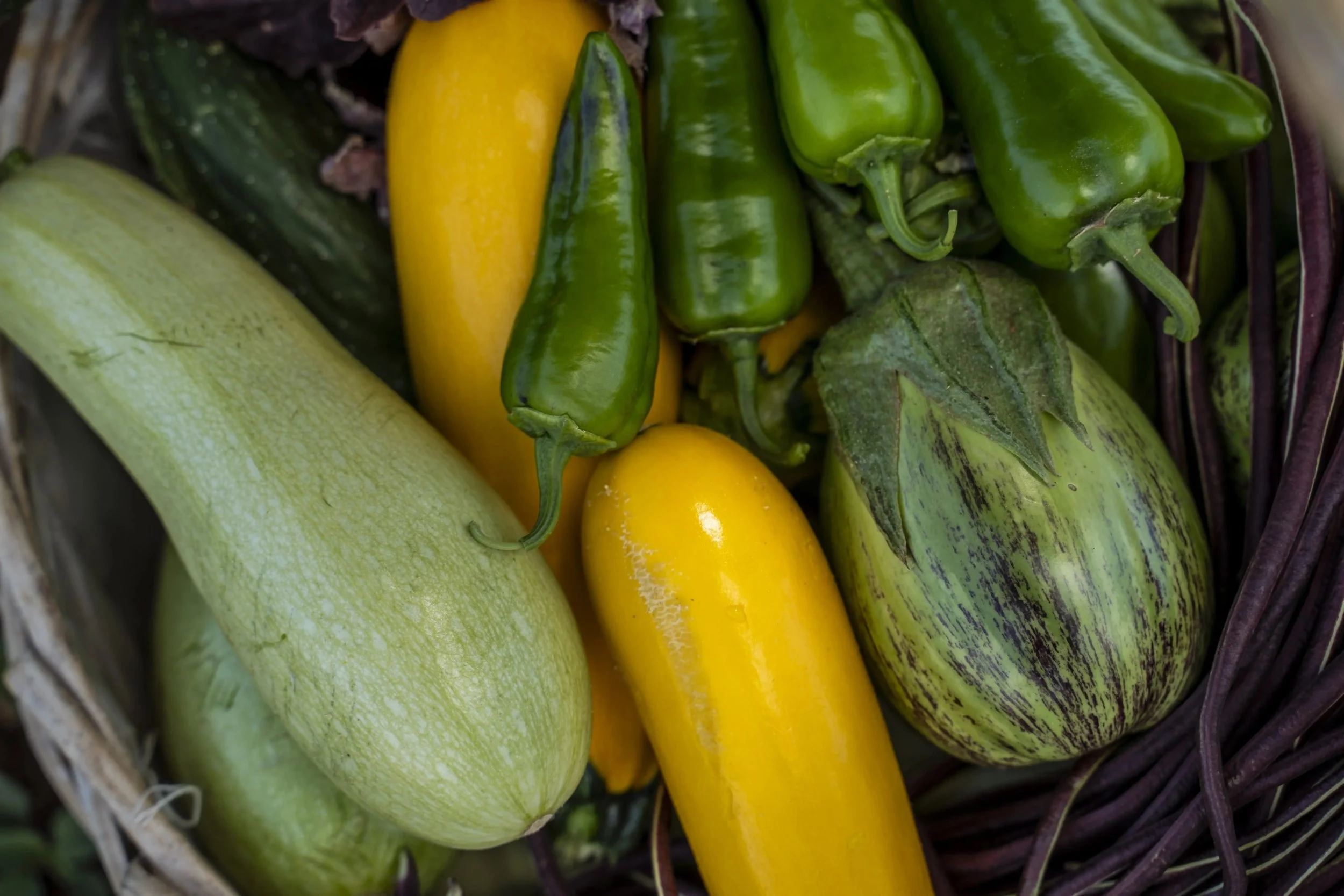 11-Borgo-Egnazia-Seasonal-Garden-Produce.jpg