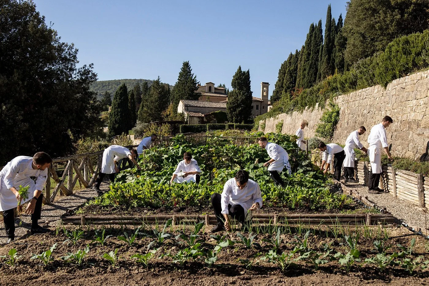 organic-kitchen-garden.jpg