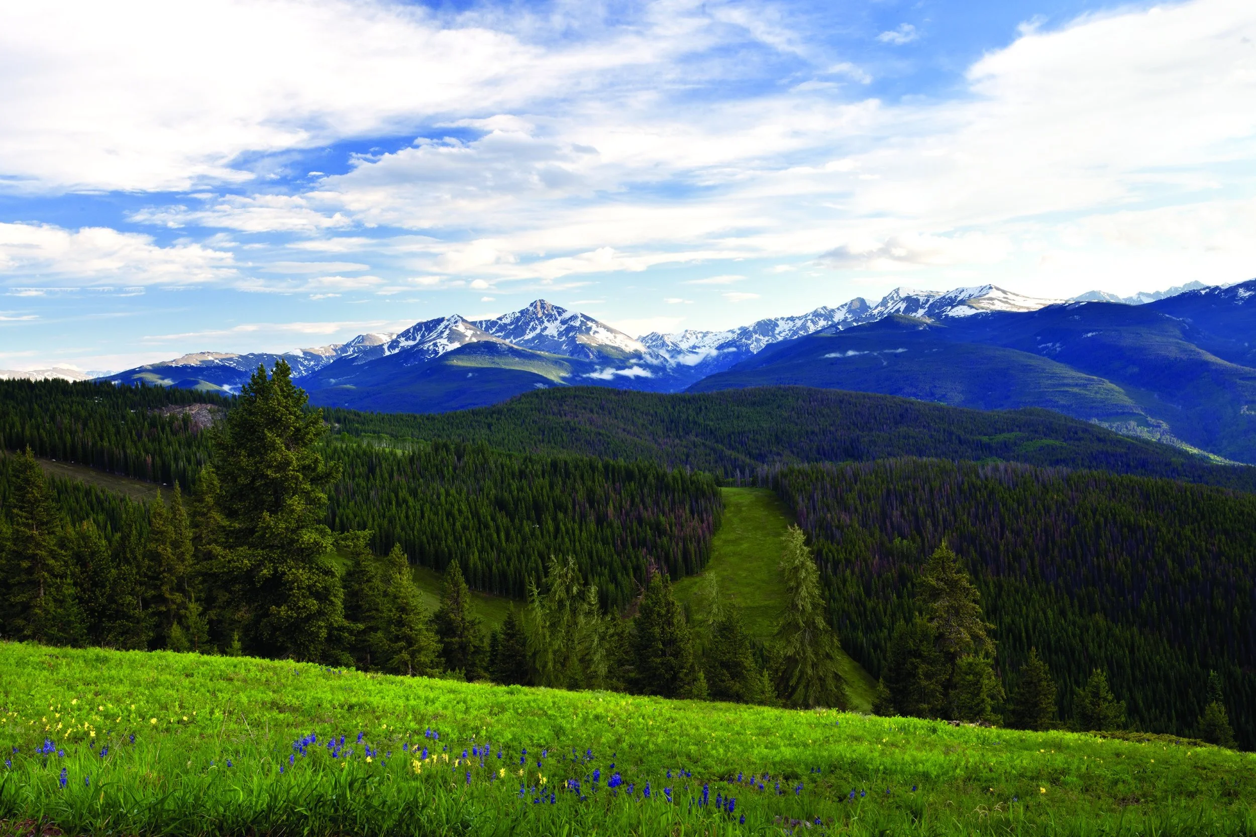 09-Four-Seasons-Vail-Vail-Mountain-Summer-Landscape.jpg